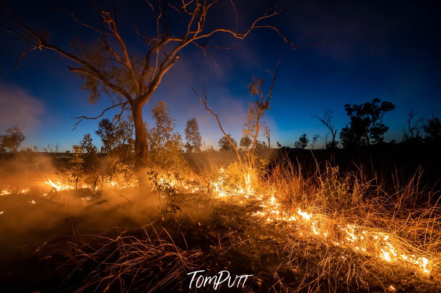 Burning roots of the forest, Roadside Burn - The Kimberley WA