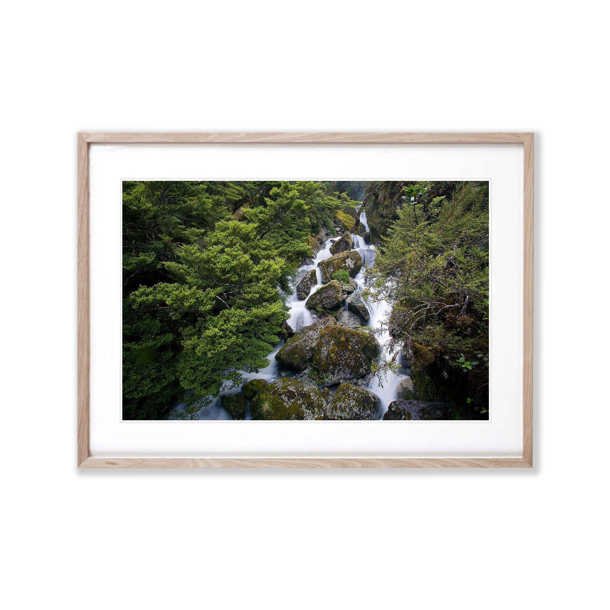 Roaring Creek, Routeburn Track - New Zealand