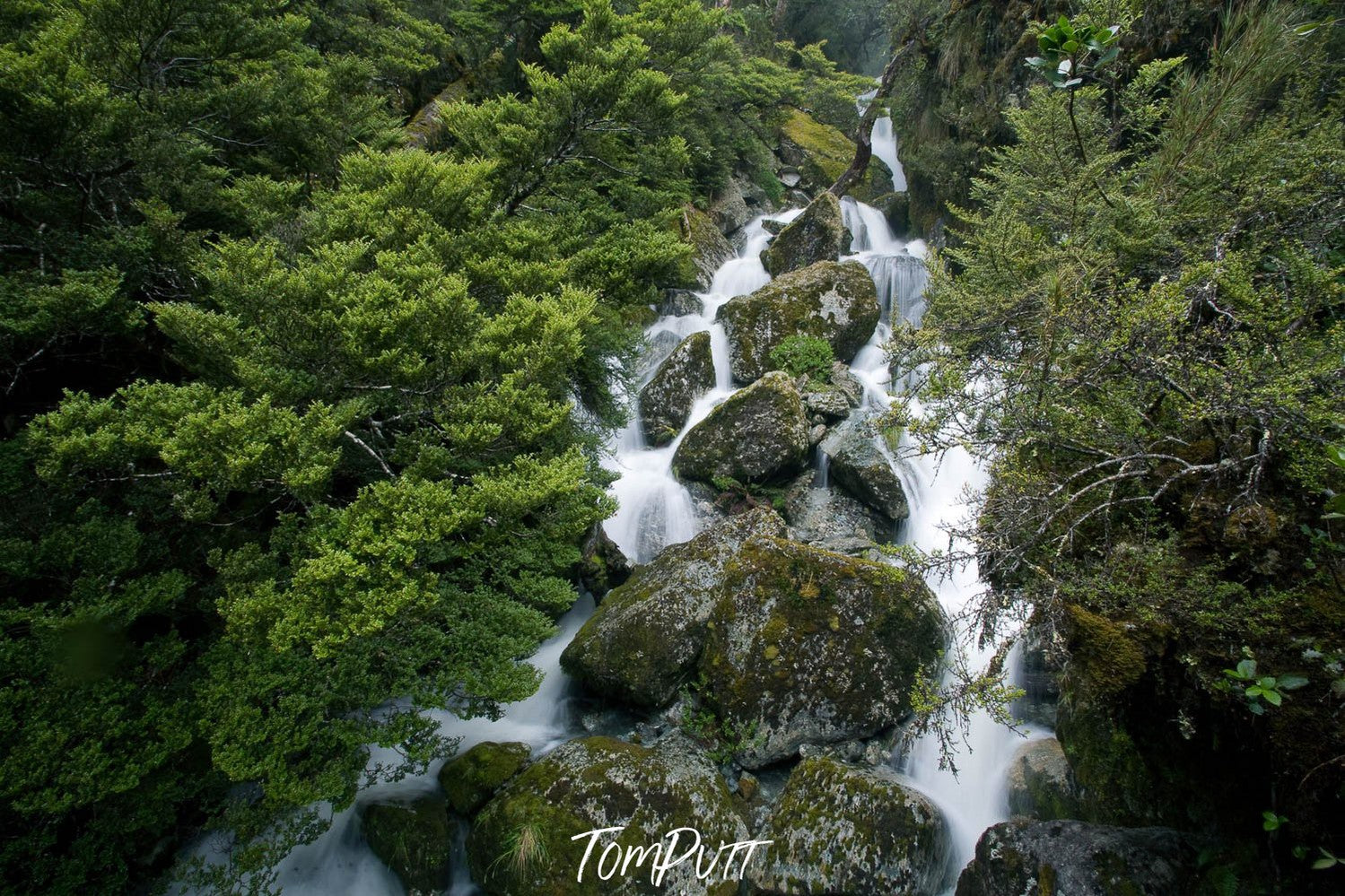 Long waterfall from a green mound in a small lake, Roaring Creek, Routeburn Track - New Zealand