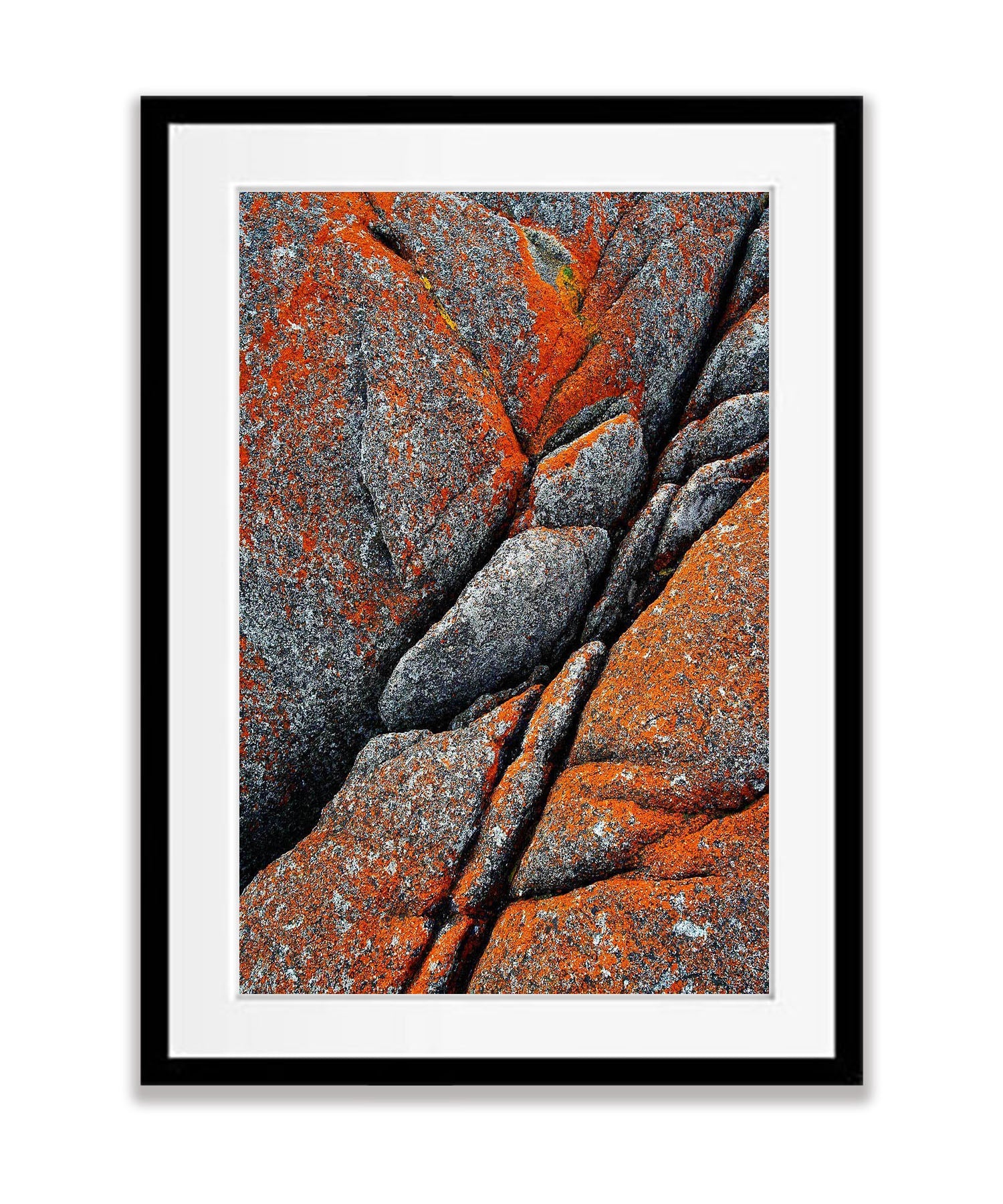 Rock Detail, Bay of Fires