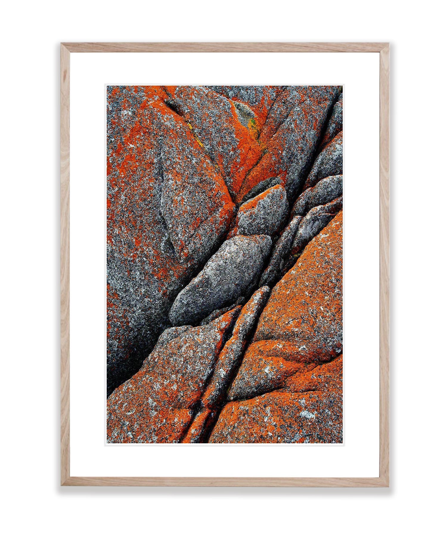 Rock Detail, Bay of Fires