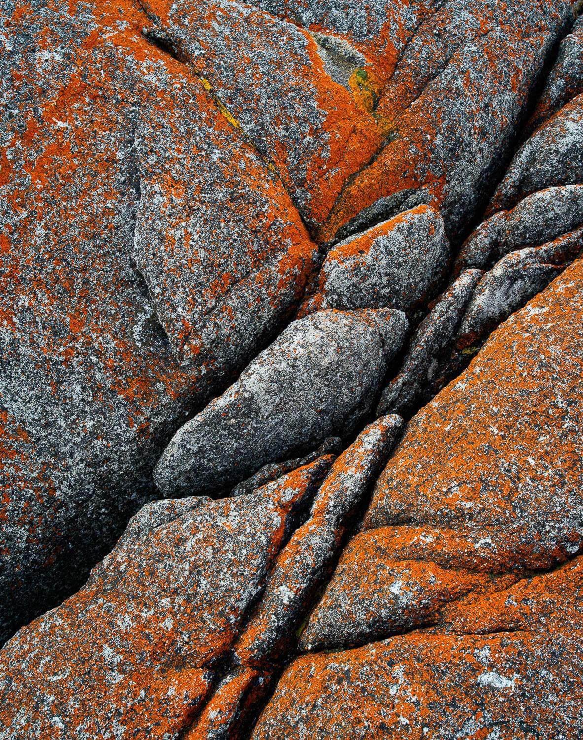 Close-up shot of large stony rocks with some orangish color, Rock Detail, Bay of Fires