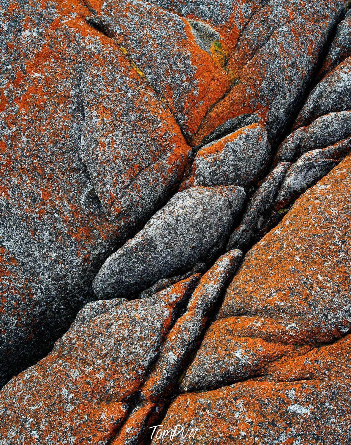 Close-up shot of large stony rocks with some orangish color, Rock Detail, Bay of Fires