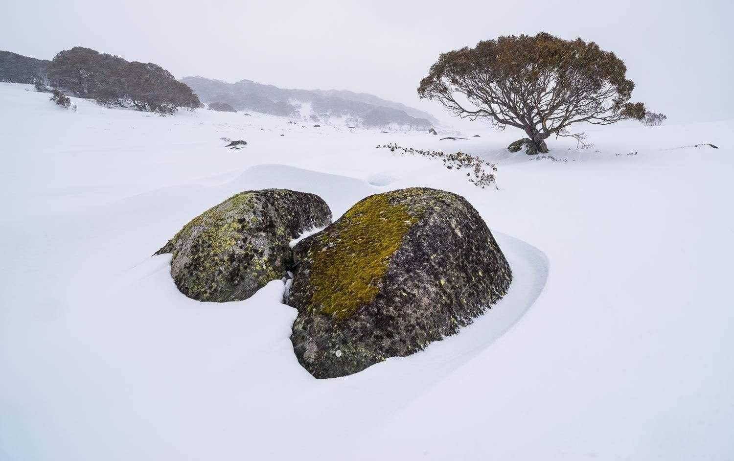 A snow-covered land with some stones and a small tree behind, Rocky Landscape