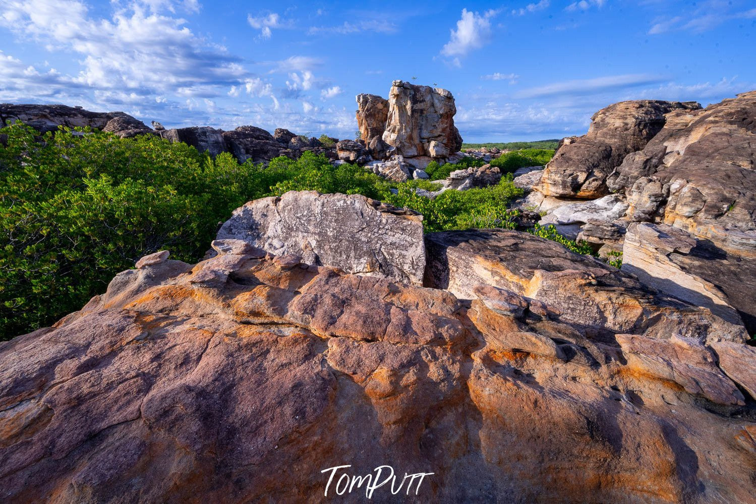 A long stony land with some fresh green grass over