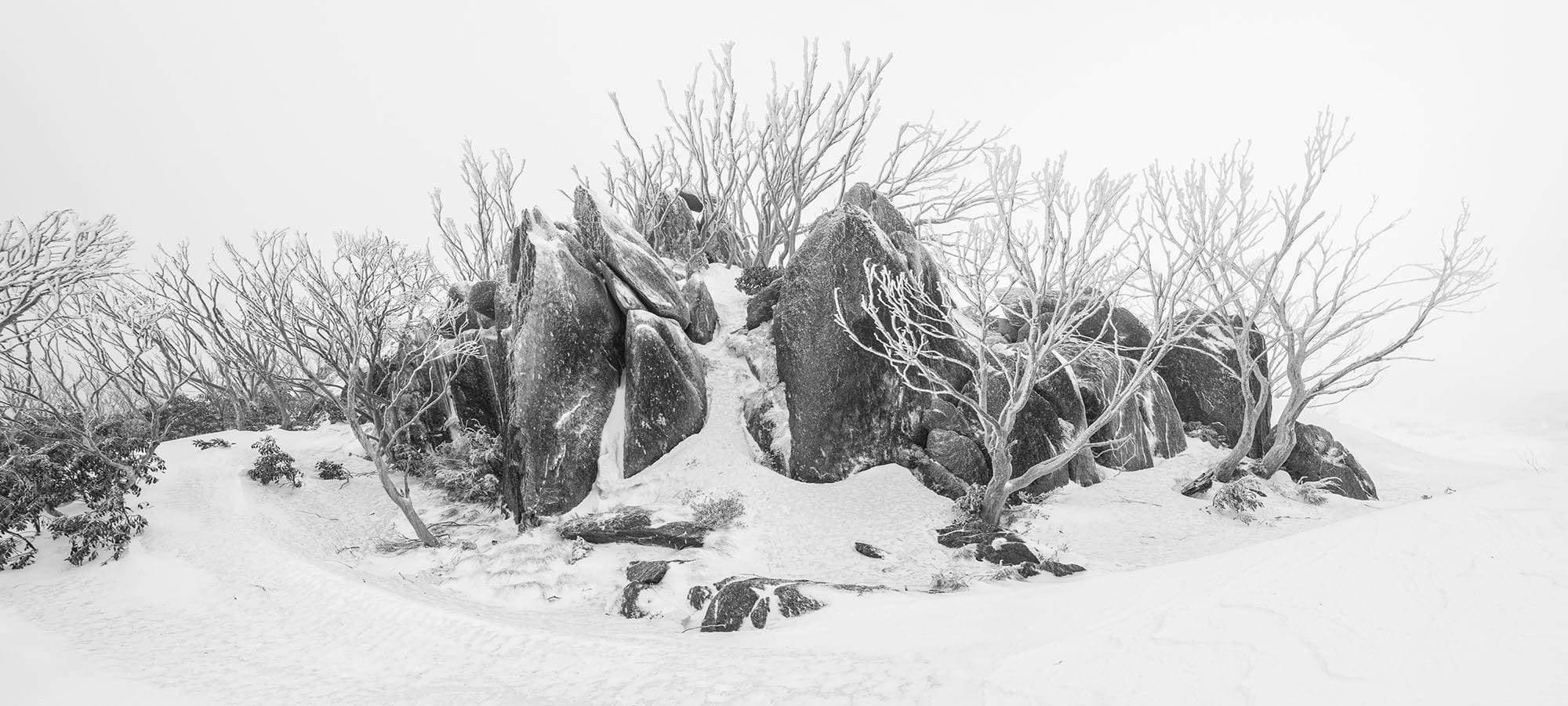 A group of stones and thin tree stems over a snow-covered land, Rocky Outcrop - Snowy Mountains NSW
