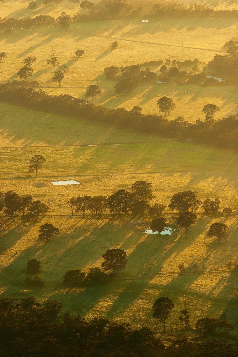 Aerial view of a greenfield with some trees and lite sunlight burst over, Rural Victoria - The Grampians, VIC
