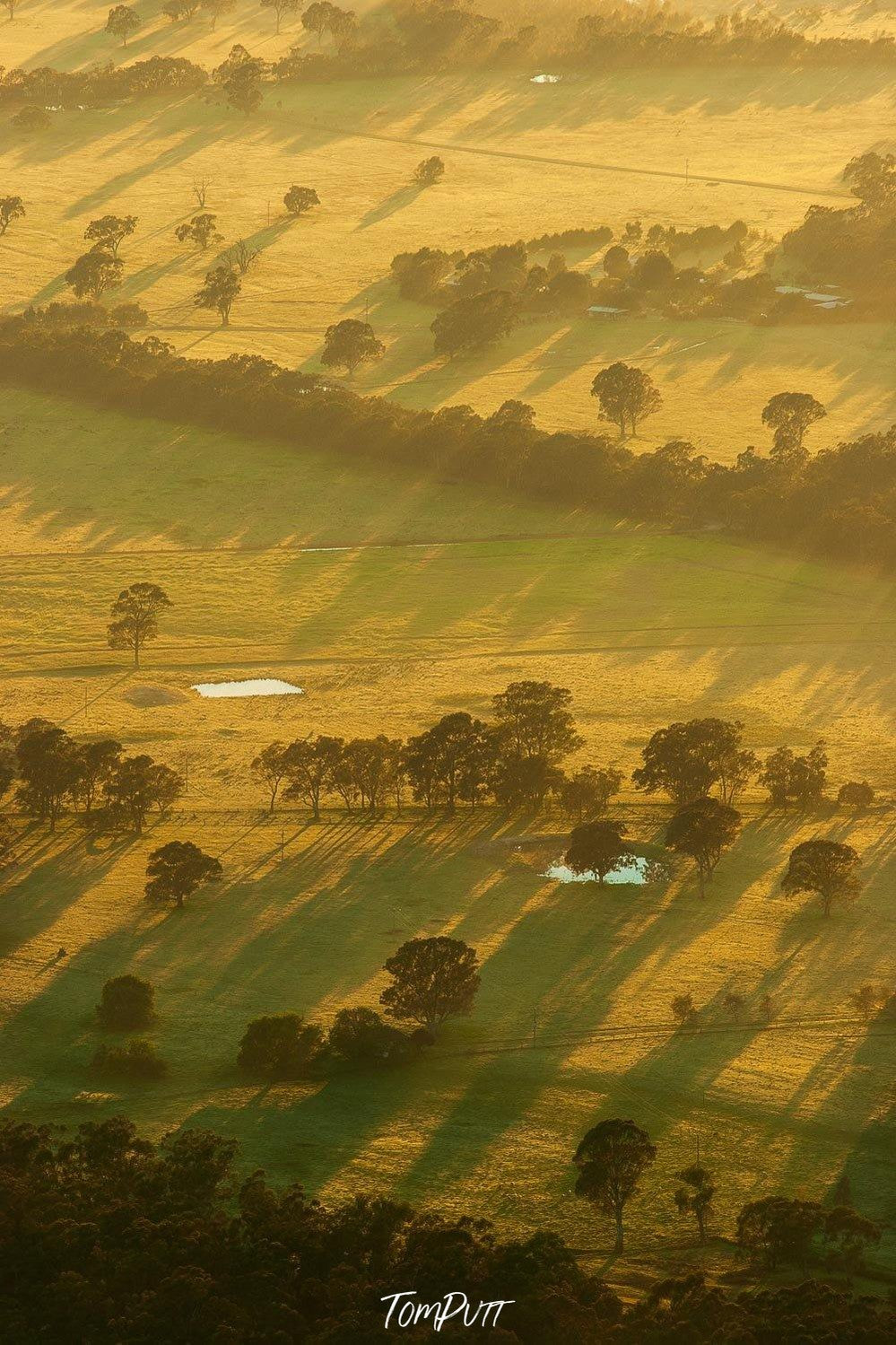 Aerial view of a greenfield with some trees and lite sunlight burst over, Rural Victoria - The Grampians, VIC