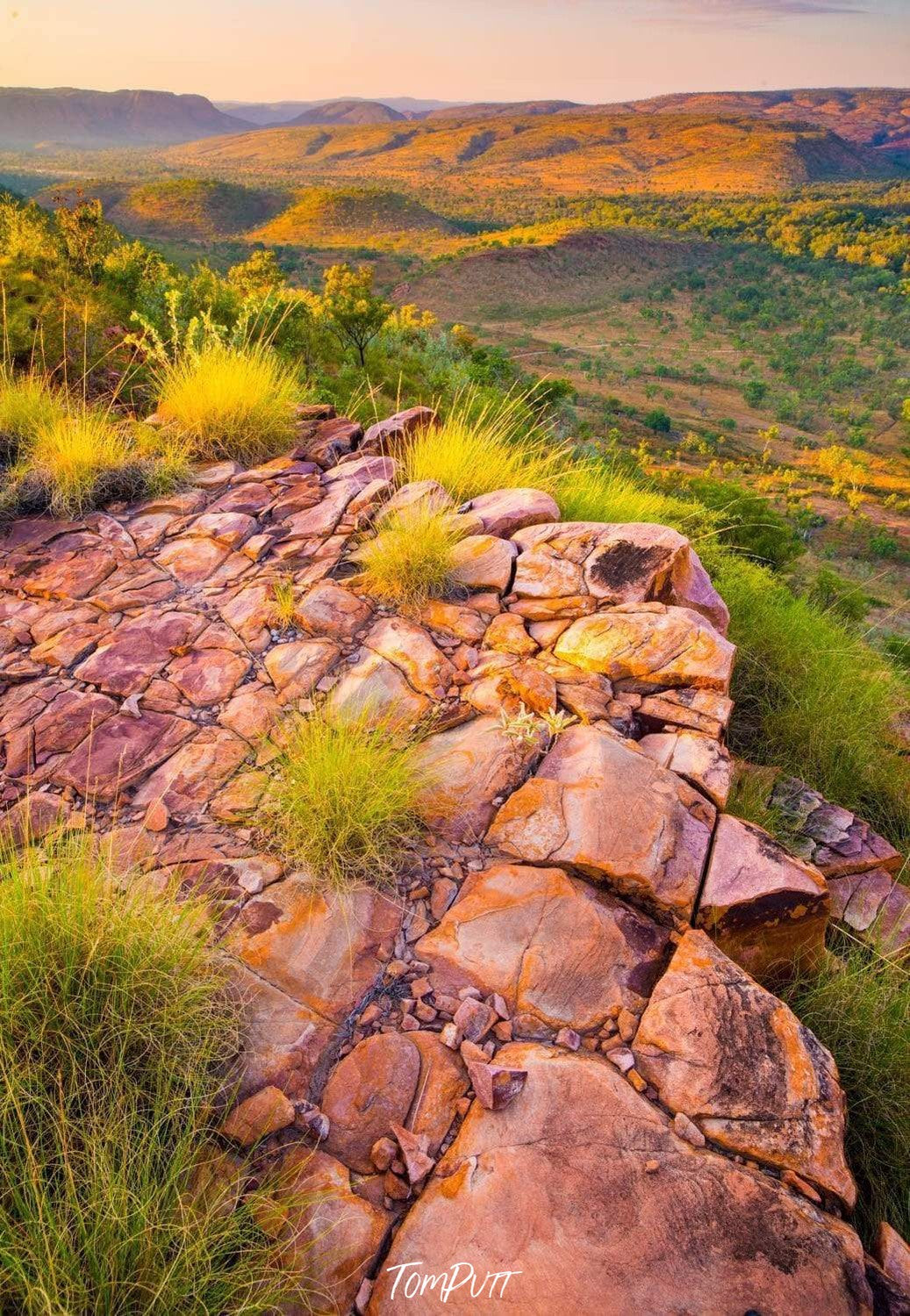 Saddleback A greeny hill area with some plants and bushes over, Saddleback Lookout - The Kimberley WA -Tom-Putt-Landscape-Prints