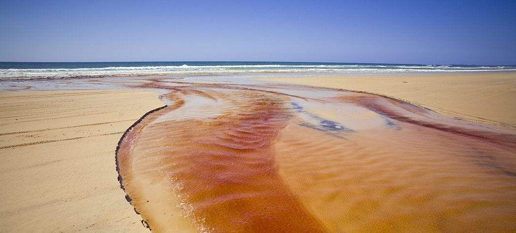 A thick brownish wavy watercourse on a beach, Sandy Creek, Fraser Island