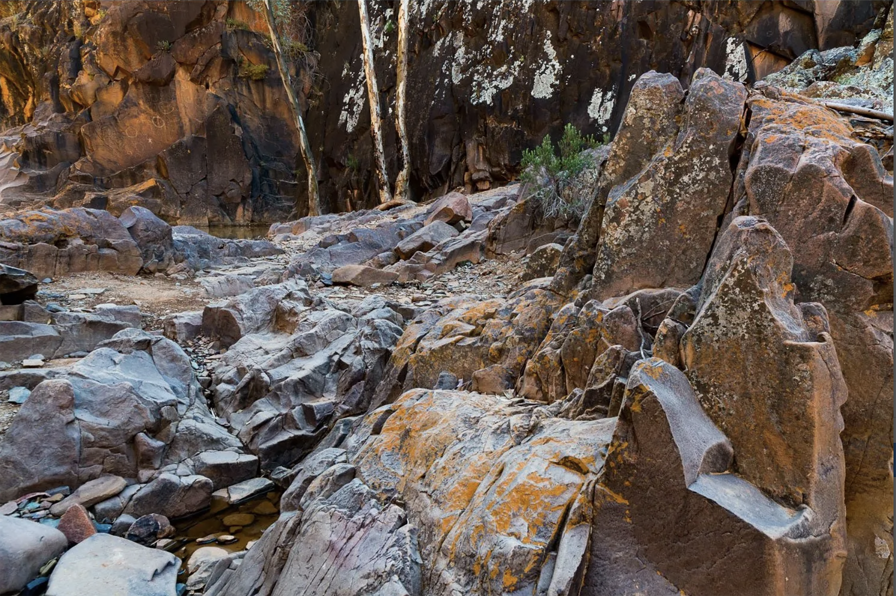 Alligator Gorge, Flinders Ranges, SA