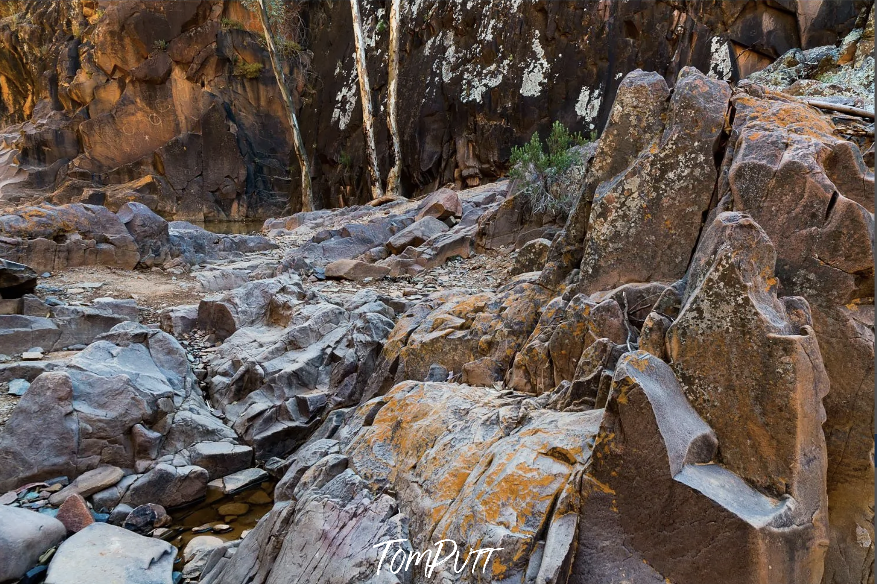 Alligator Gorge, Flinders Ranges, SA