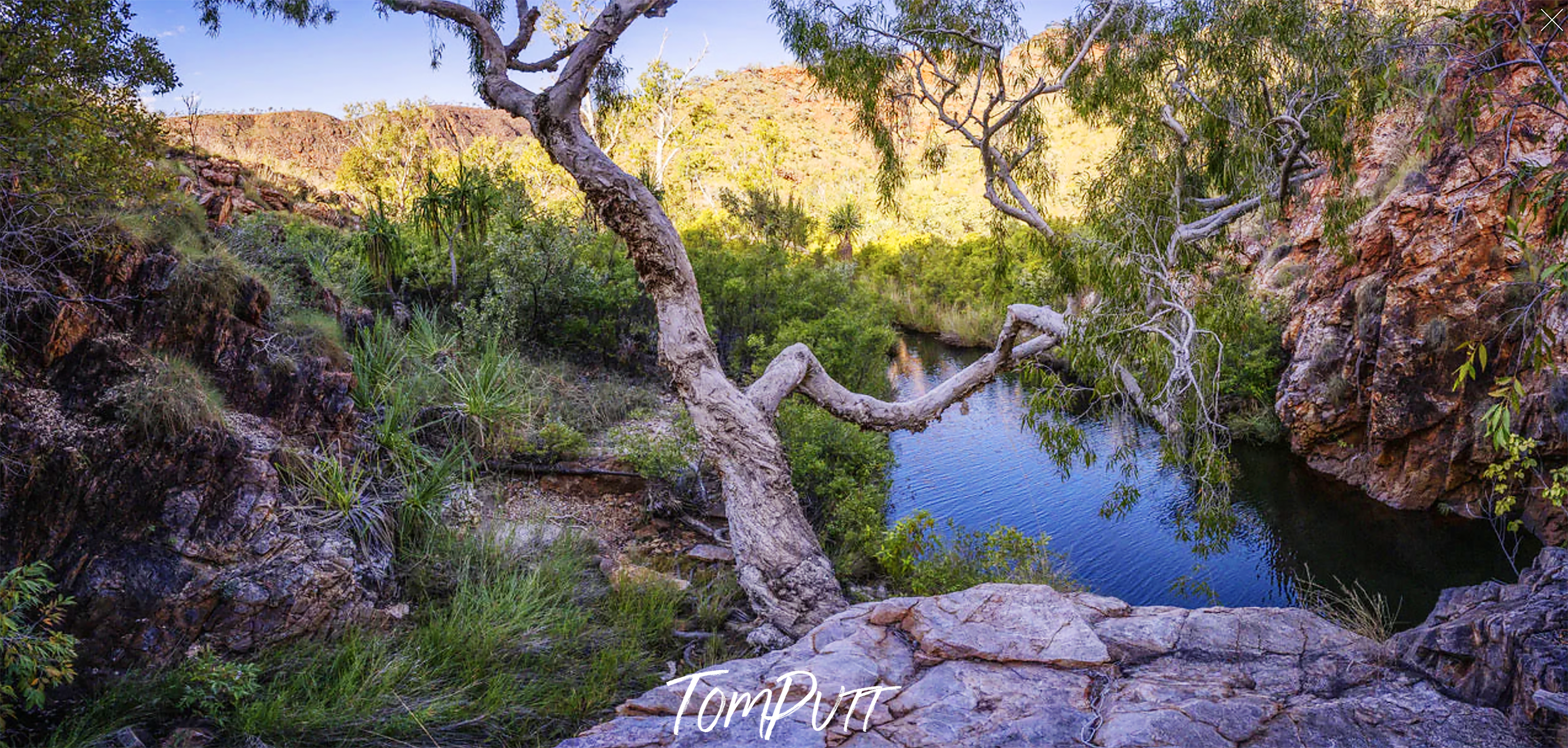 Revolver Springs No.2, The Kimberley