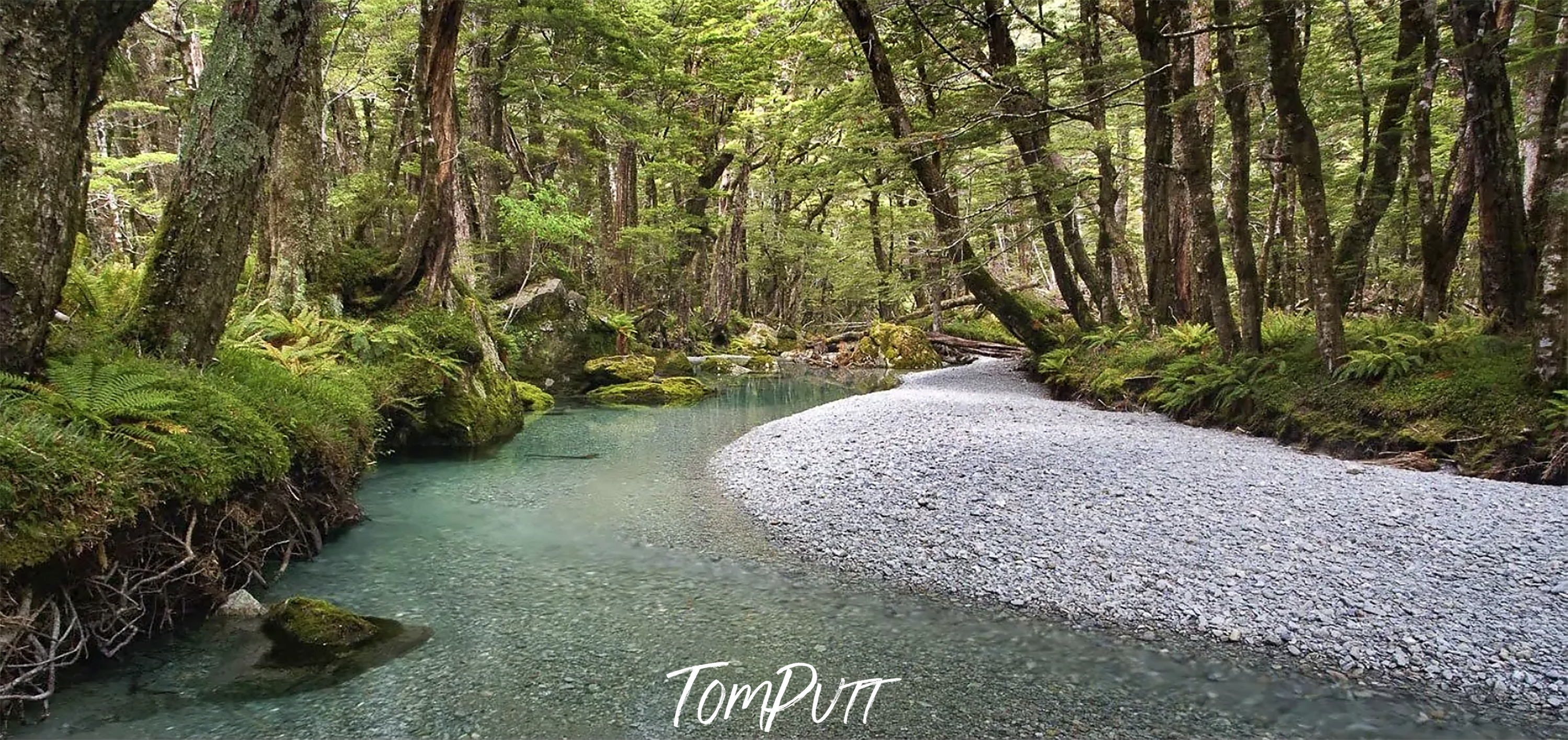 A Quiet Stream, Routeburn Track - New Zealand