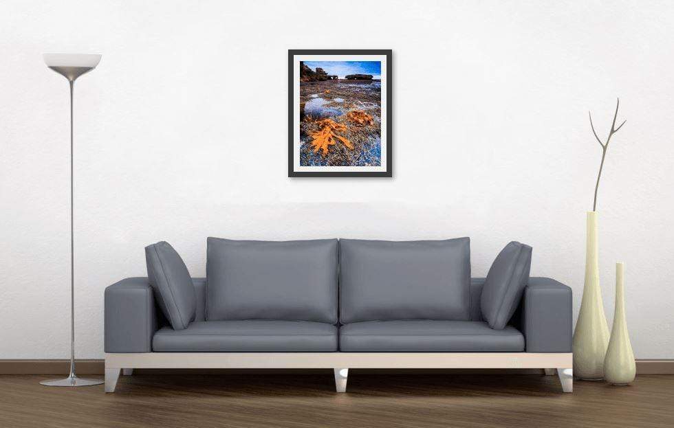 Seaweed, Mornington Peninsula-Tom-Putt-Landscape-Prints