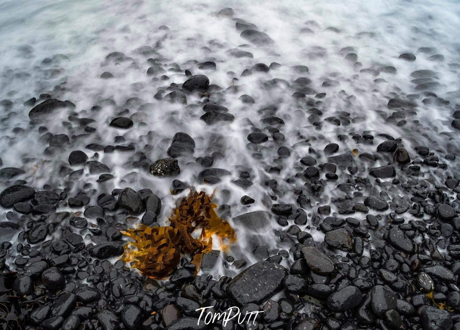 Aerial view of a seashore with a lot of small stones, Seaweed