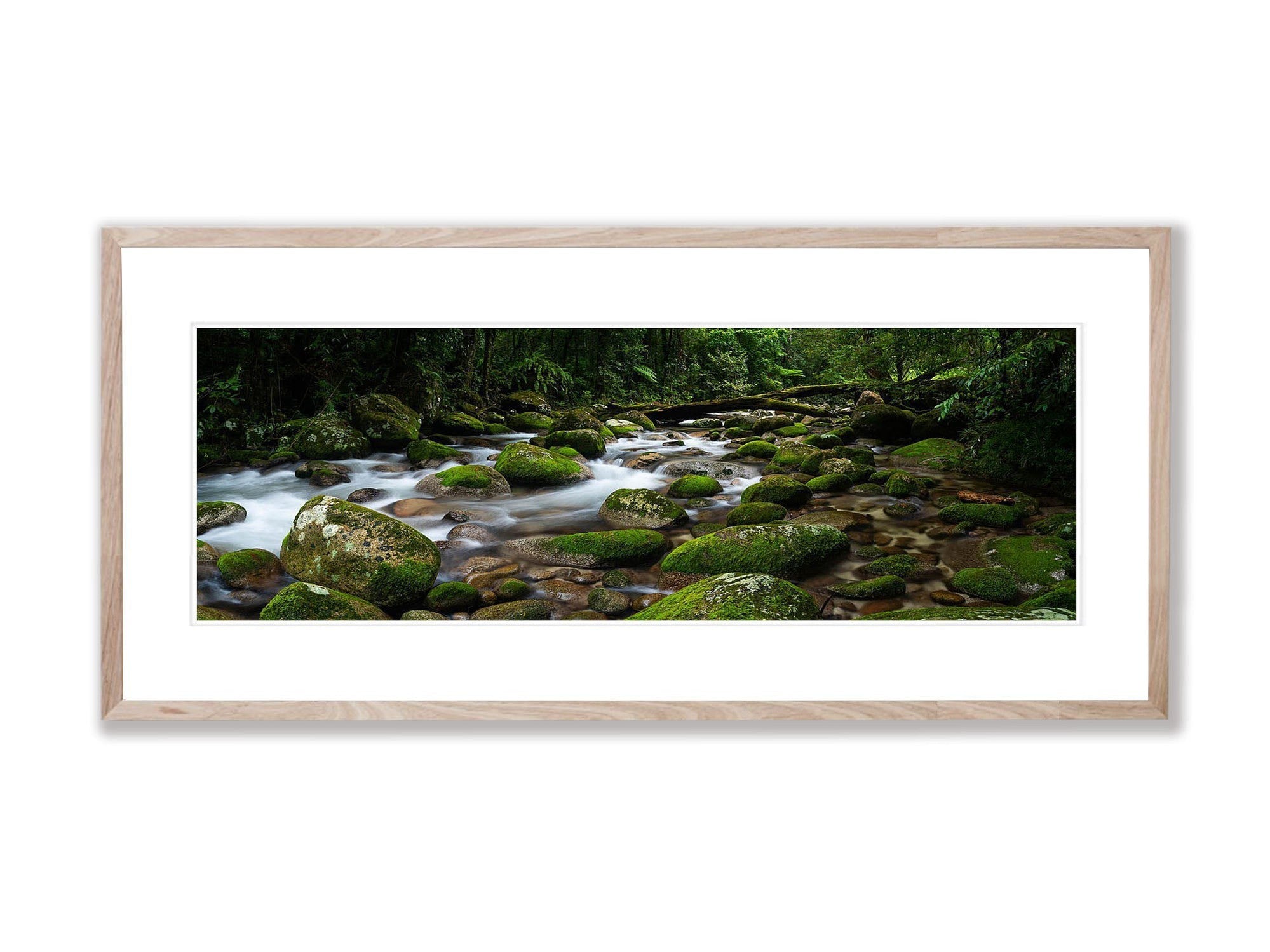 Secluded Rainforest Stream, Far North Queensland