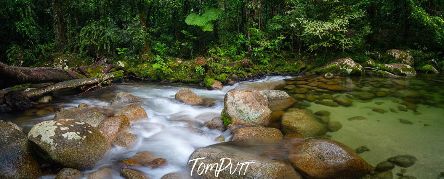 Beautiful stony pathway with bushes and plants around, Secluded Stream, Far North Queensland