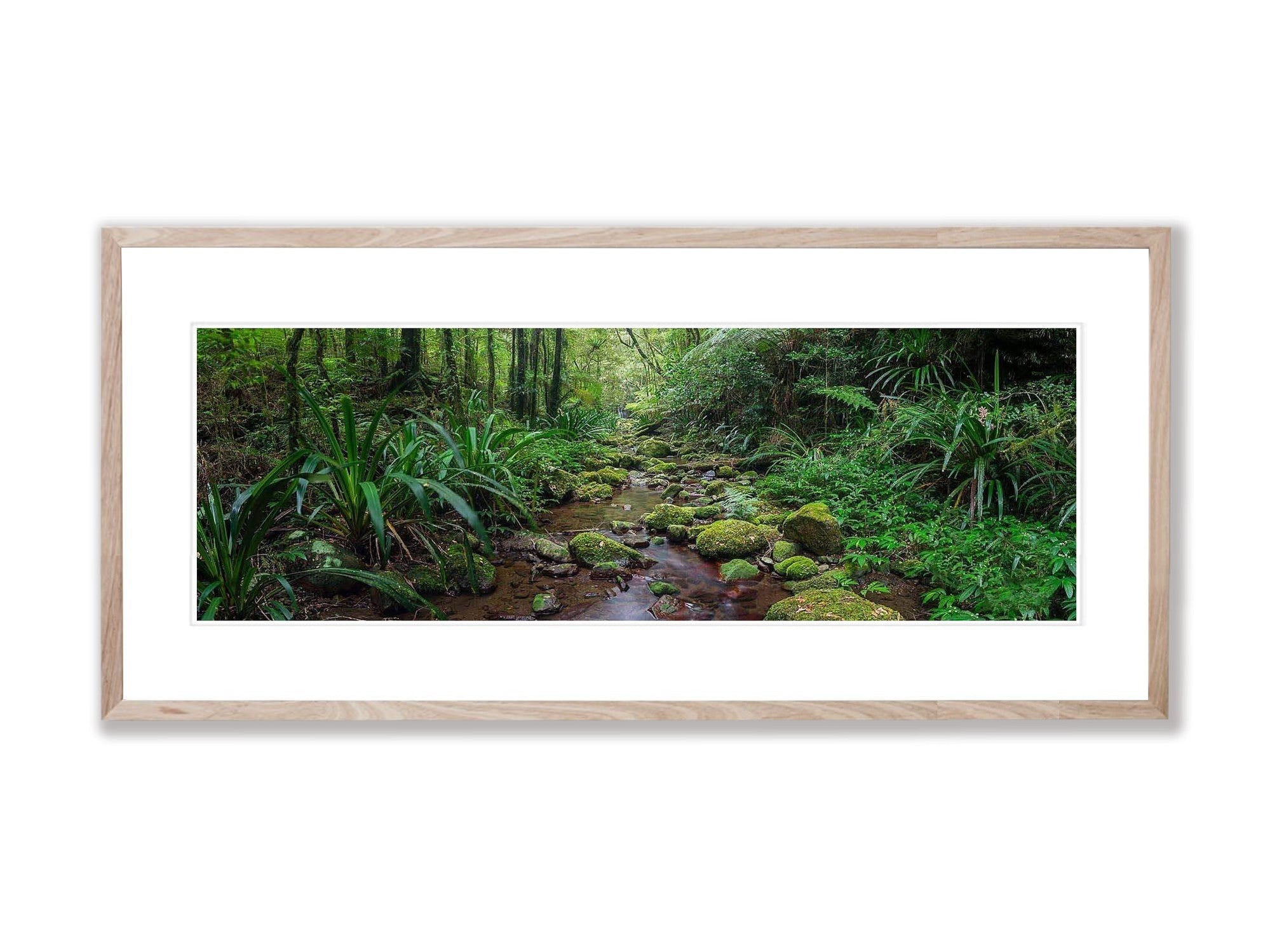 Secluded Stream - Lamington National Park QLD