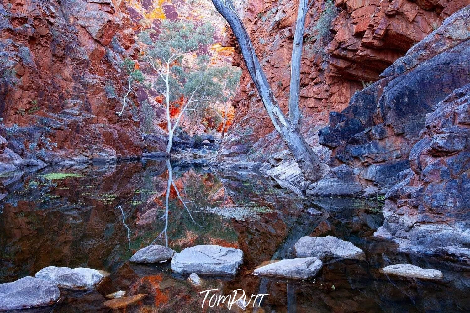 A small clear water lake under the mountain walls, Serpentine Dreaming - West Macdonnell Ranges, NT 