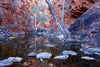 A small clear water lake under the mountain walls, Serpentine Dreaming - West Macdonnell Ranges, NT 