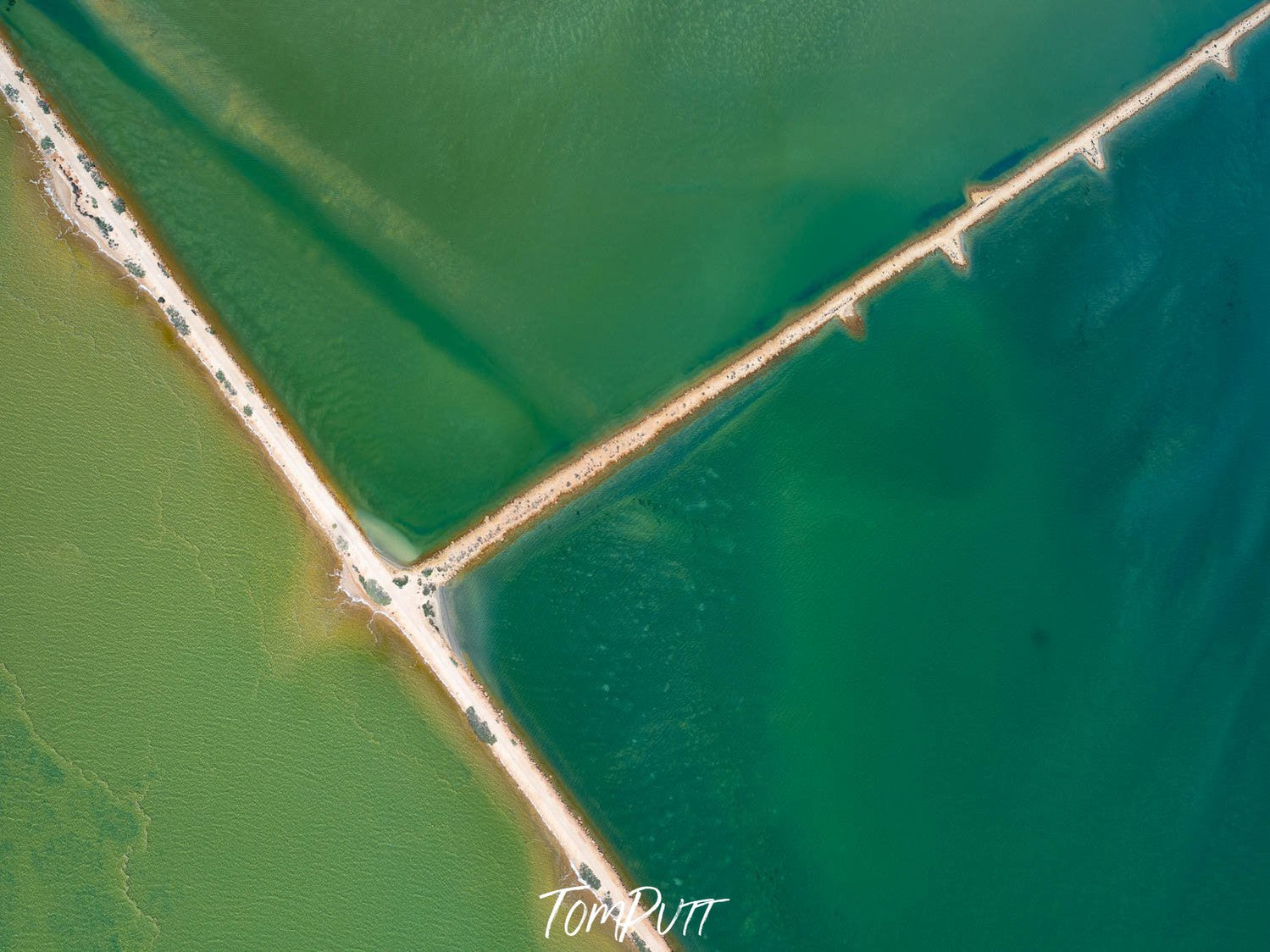 Aerial view of the separation of green oceans, Shades of Green