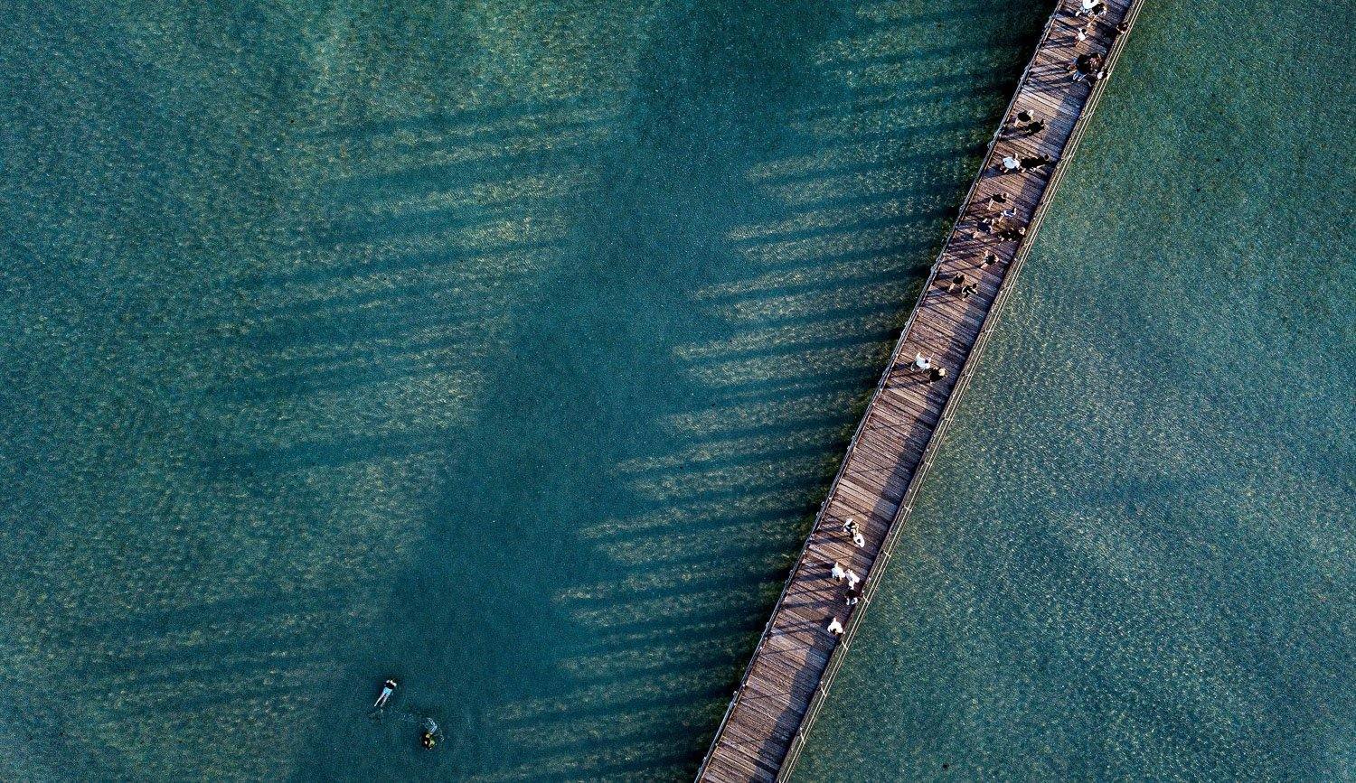 Aerial view of an ocean with a wooden bridge over, Shadows - Mornington Peninsula VIC