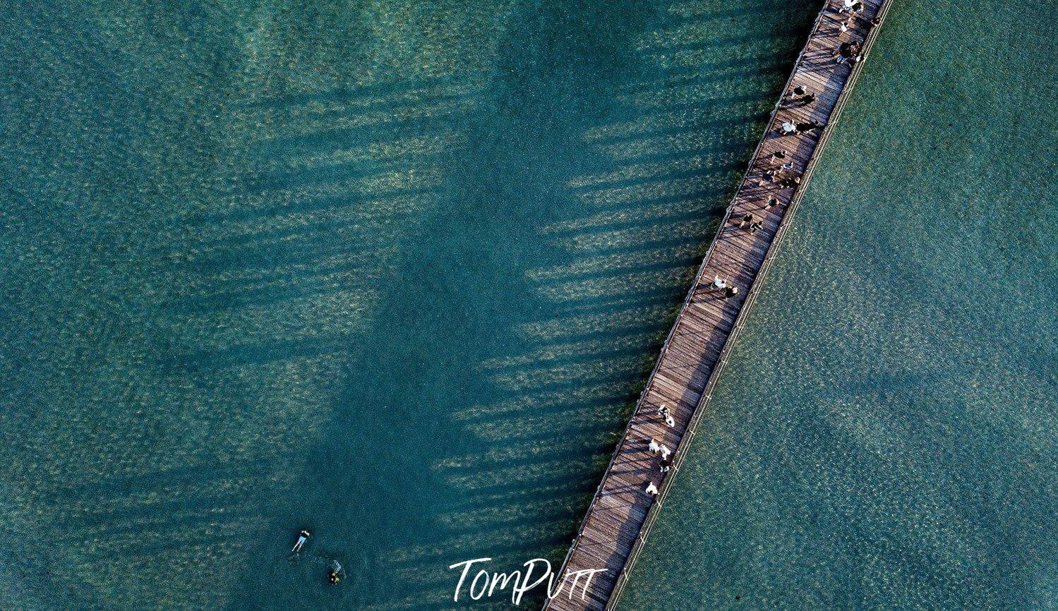 Aerial view of an ocean with a wooden bridge over, Shadows - Mornington Peninsula VIC