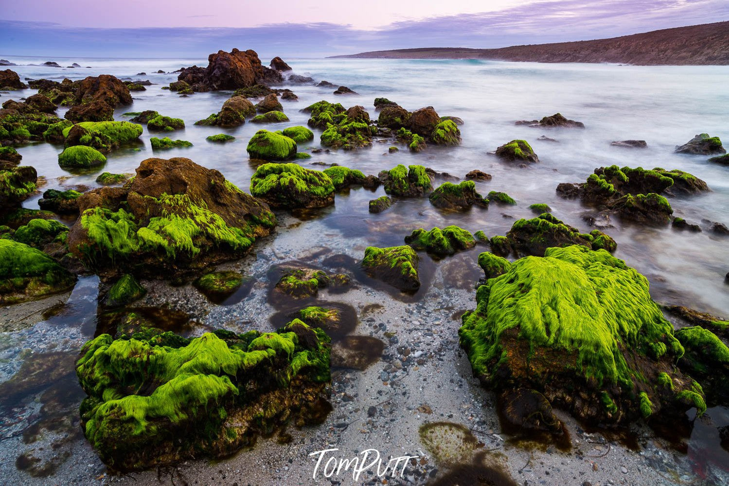 Stony island with a lot of fresh green bushes over the stones, Sleaford Bay #2, Eyre Peninsula