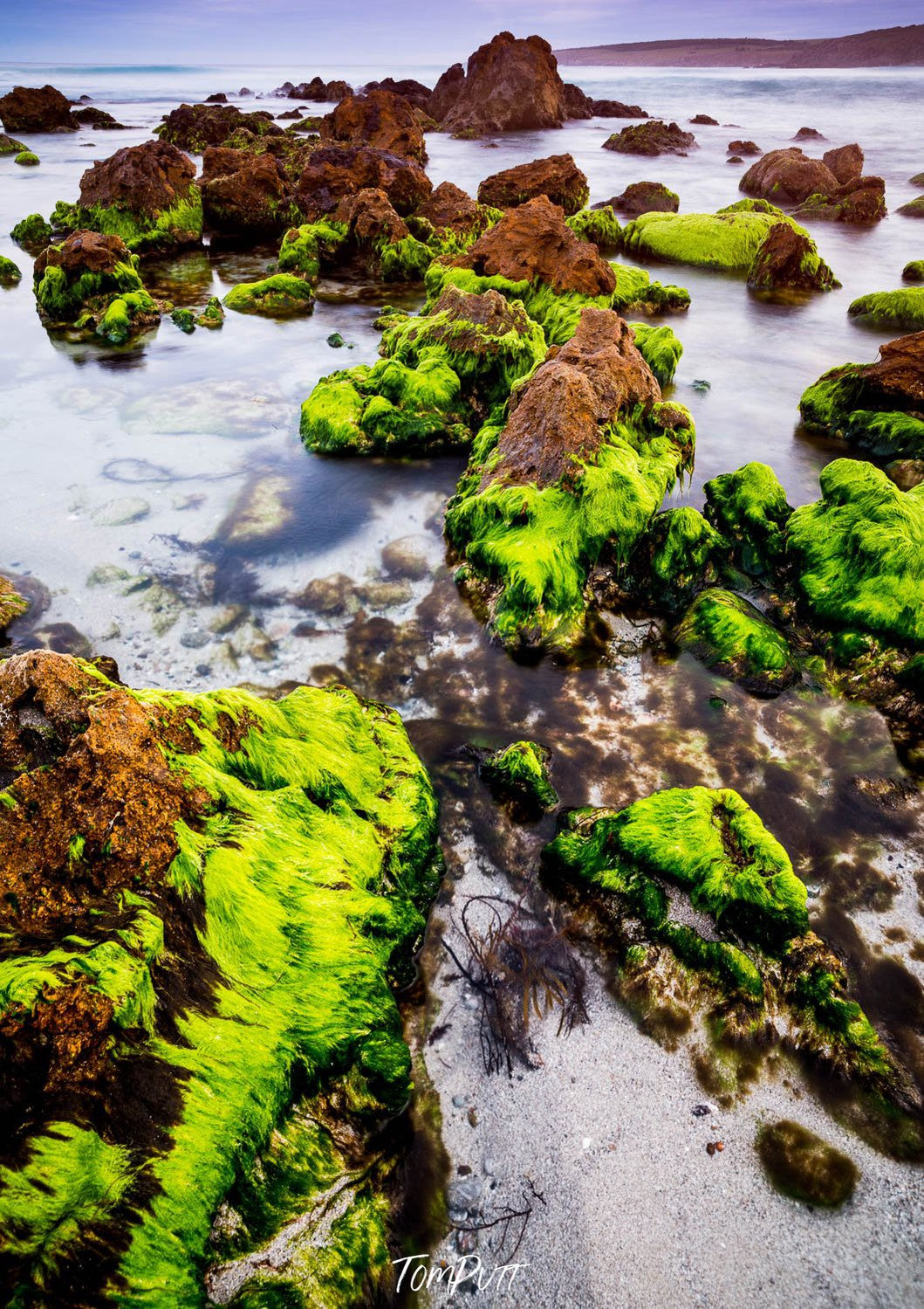 Stony island with a lot of fresh green bushes over the stones,Sleaford Bay #3, Eyre Peninsula