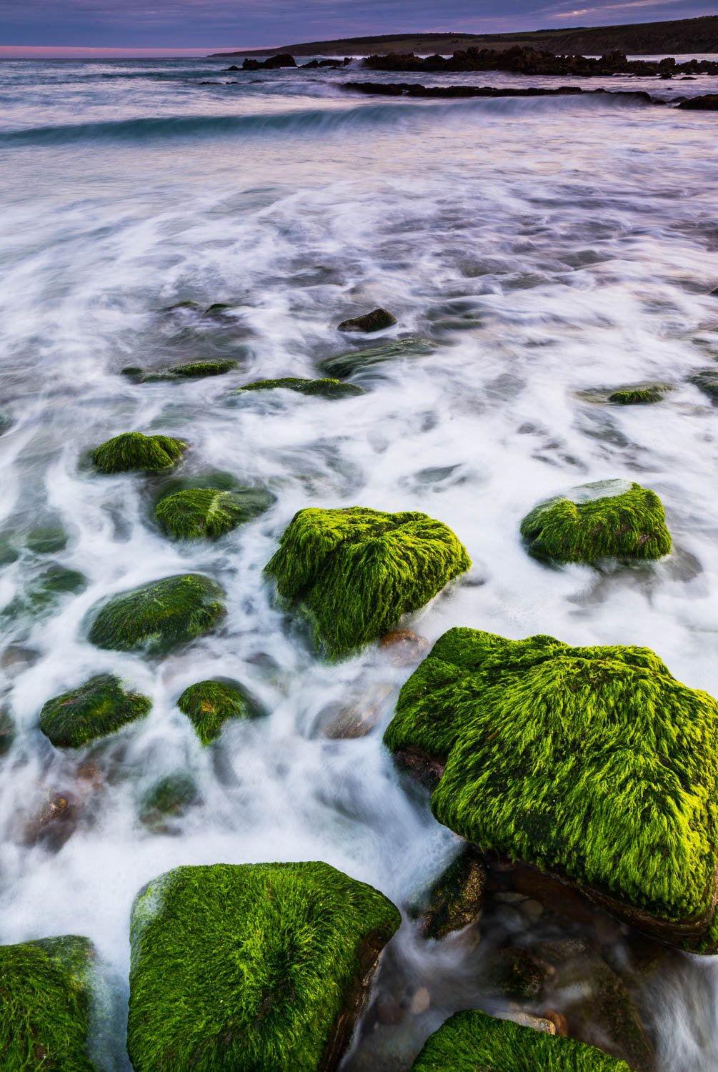 Stony island with fresh green bushes over the stones, Sleaford Bay, Eyre Peninsula
