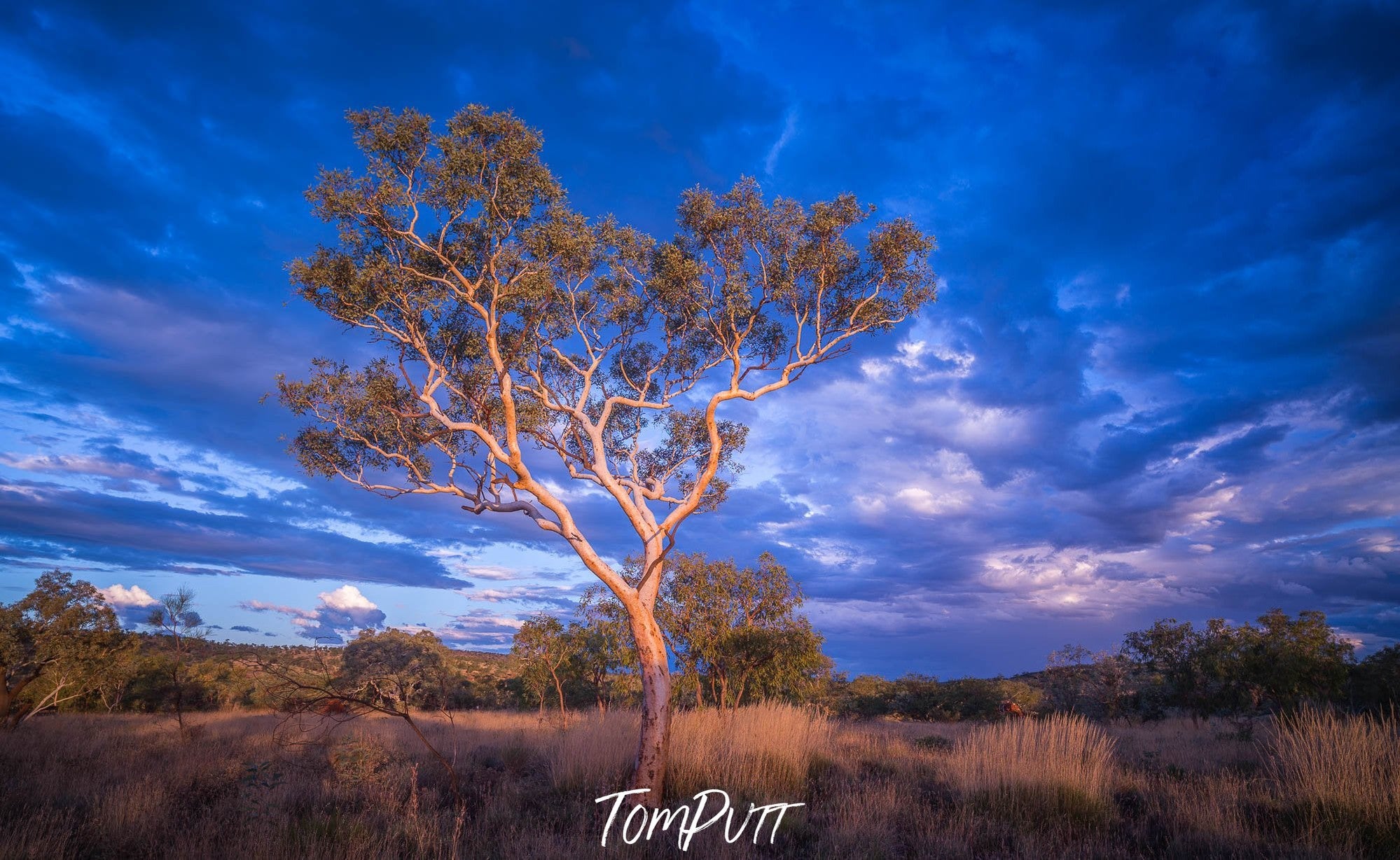 Snappy Dawn, Karijini, The Pilbara