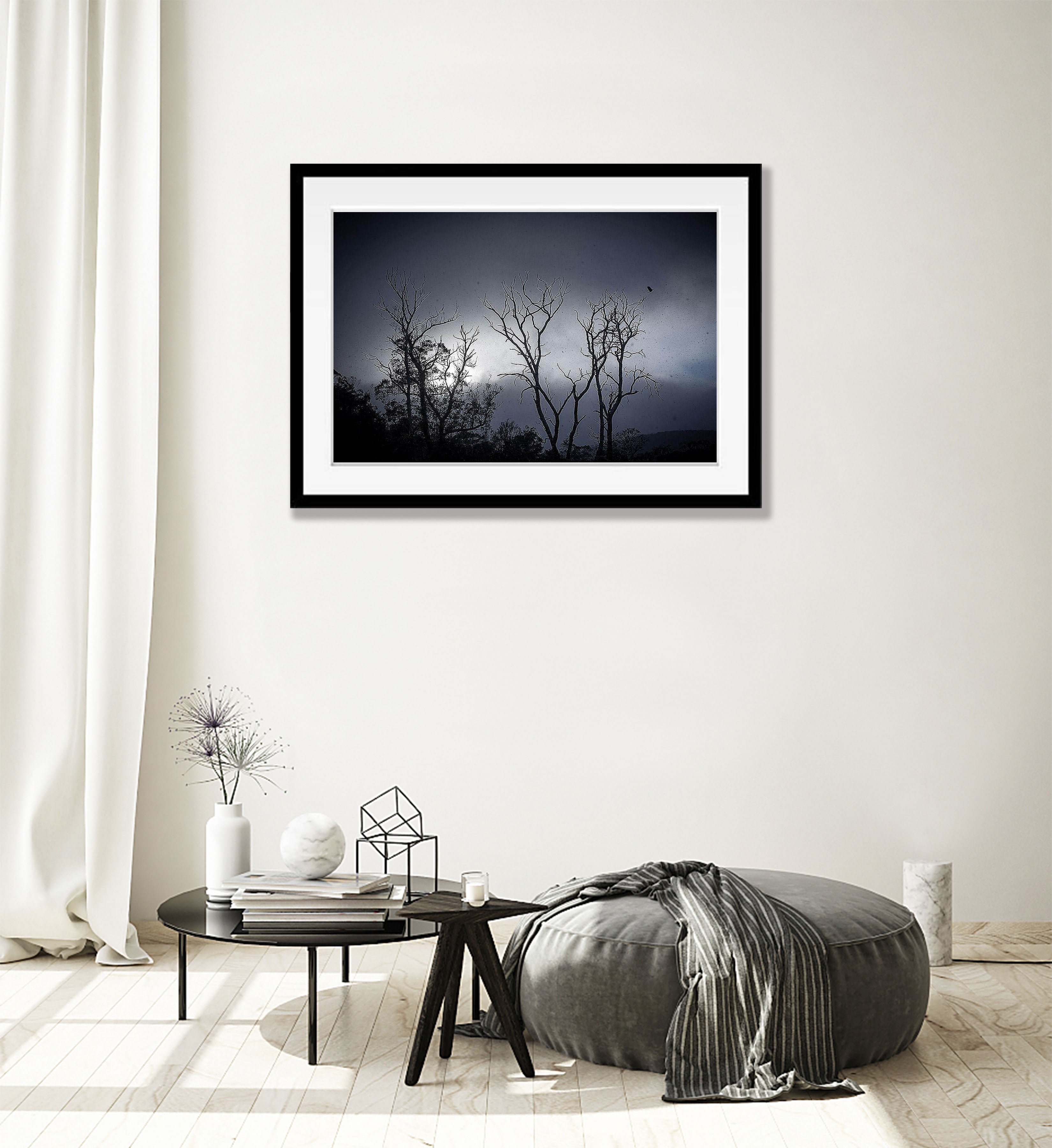 ARTWORK INSTOCK - Snow Currawong, Cradle Mountain, TAS - 100 x 66cms Canvas Black Framed Print