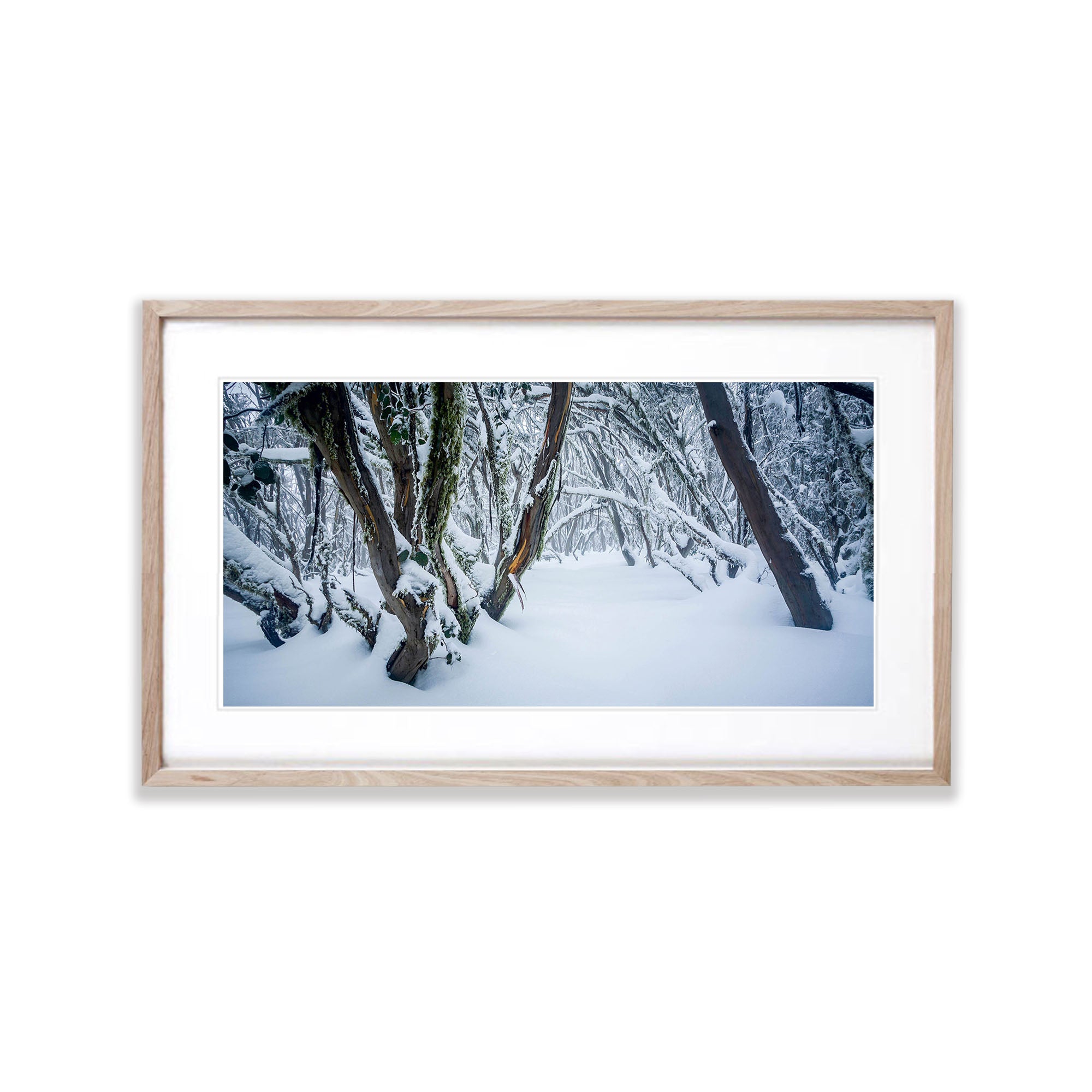 Snow Forest, Mount Buller