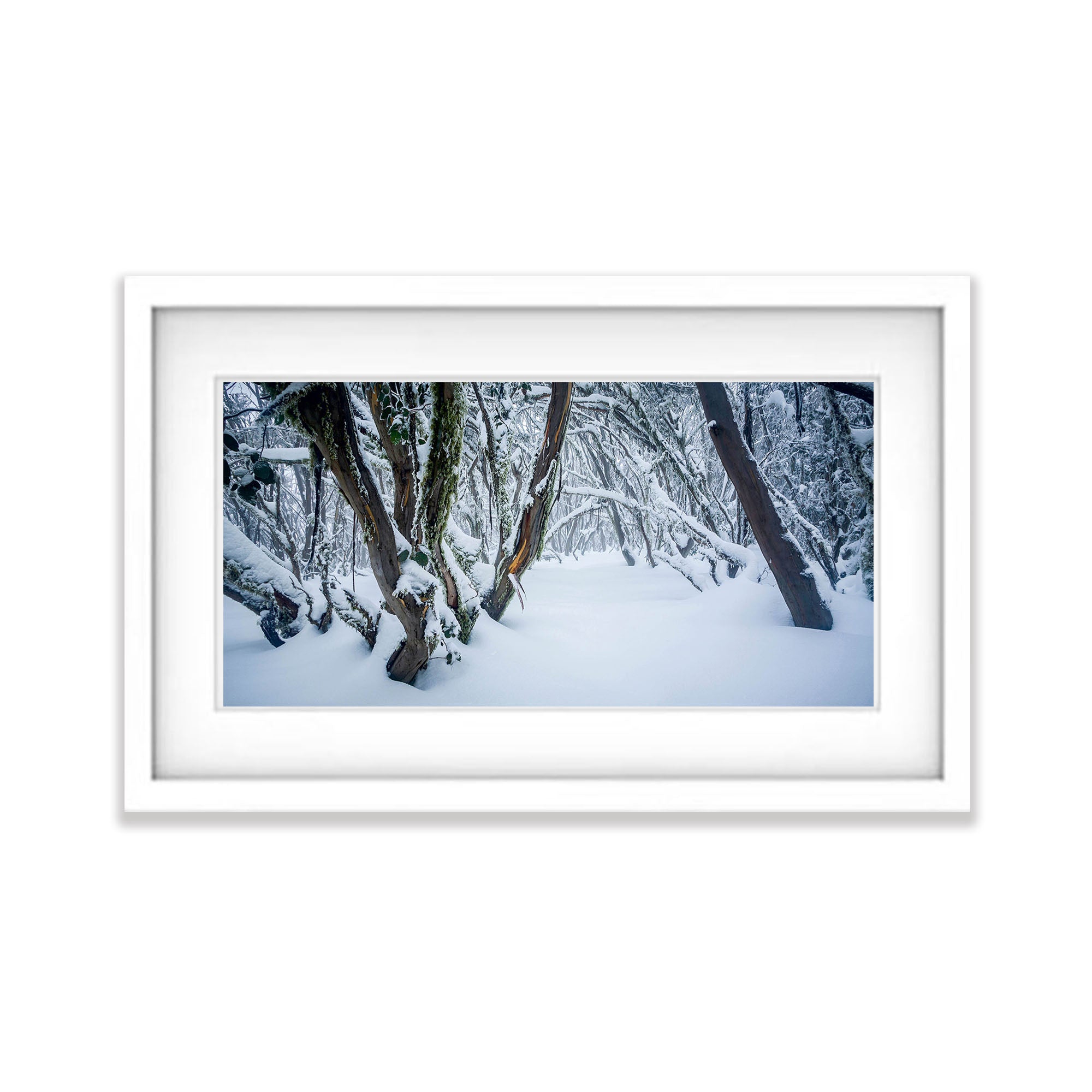 Snow Forest, Mount Buller