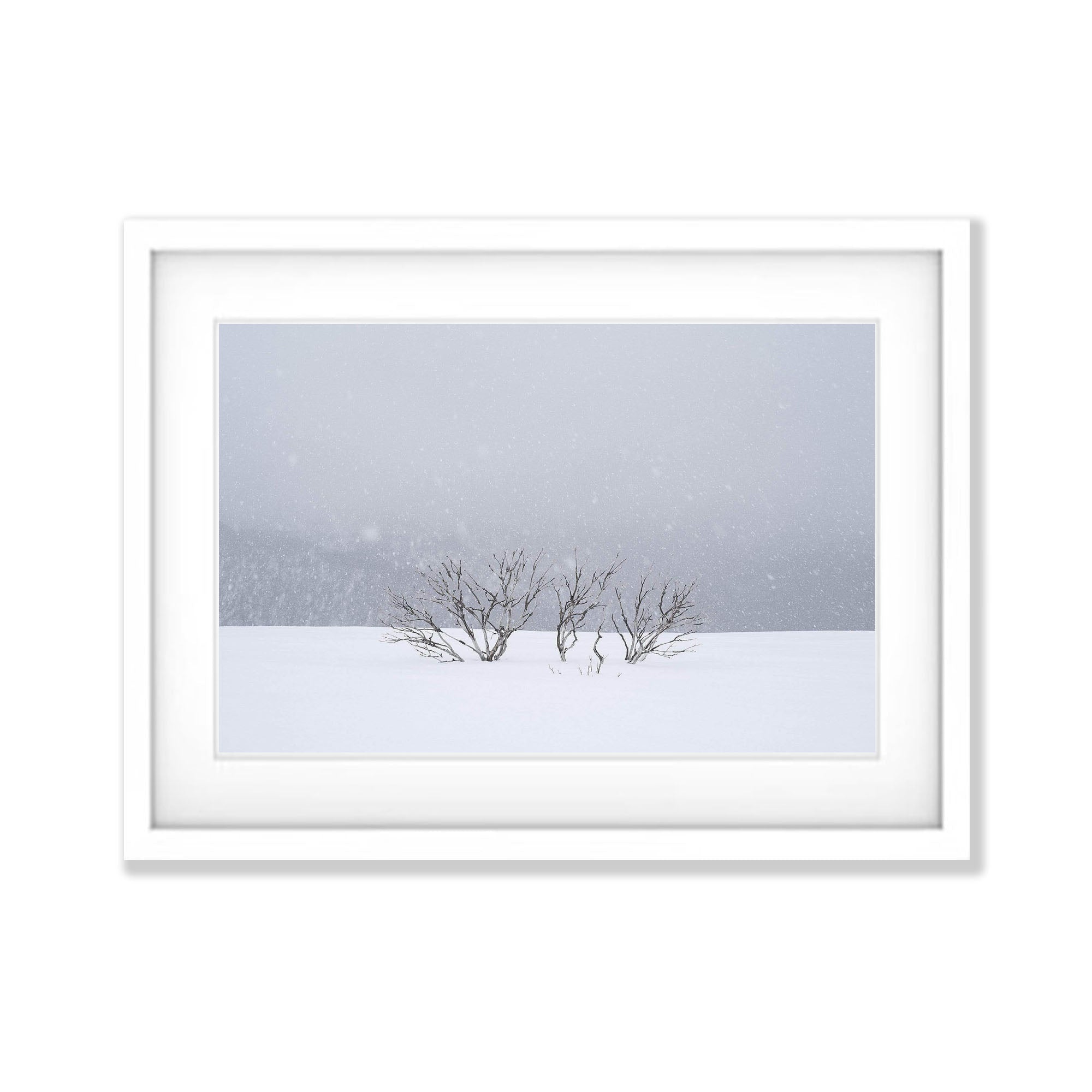 Shop Snowflakes, Mount Hotham, Victoria Print Artwork Print & Wall Art ...