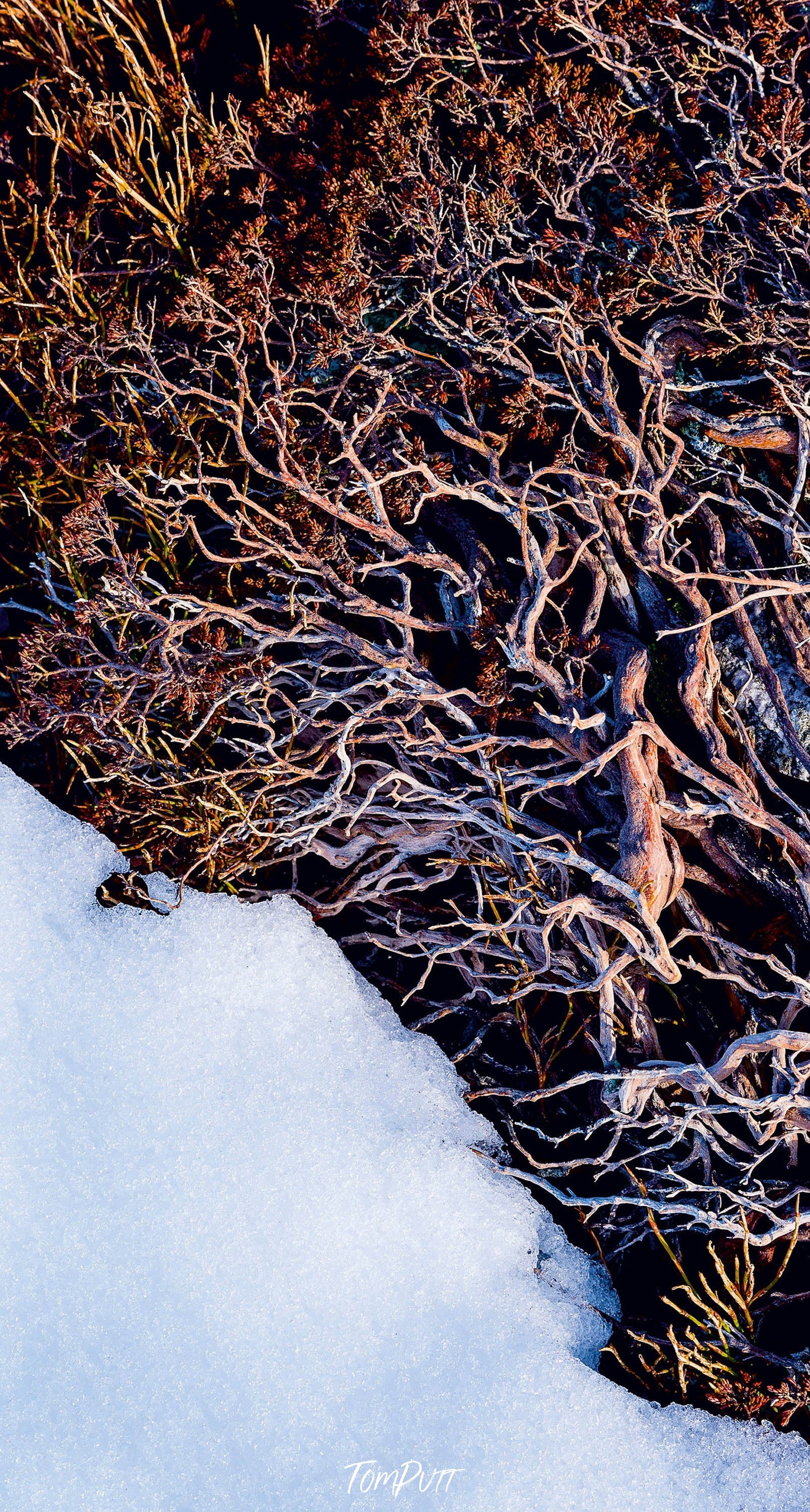 Snowy Mountains, NSW