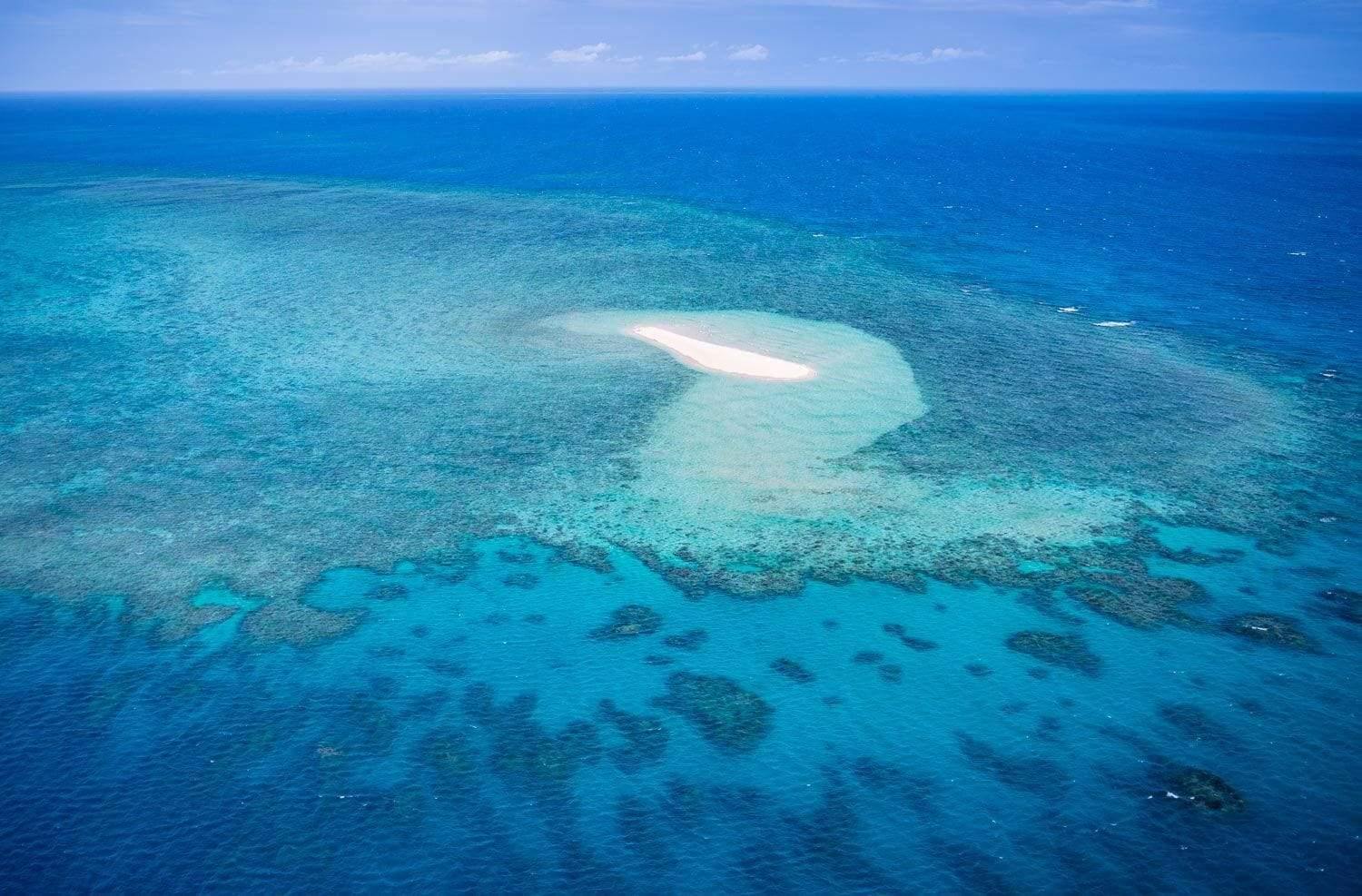 Aerial view of a sea with a lot of greenery underwater, Solitude