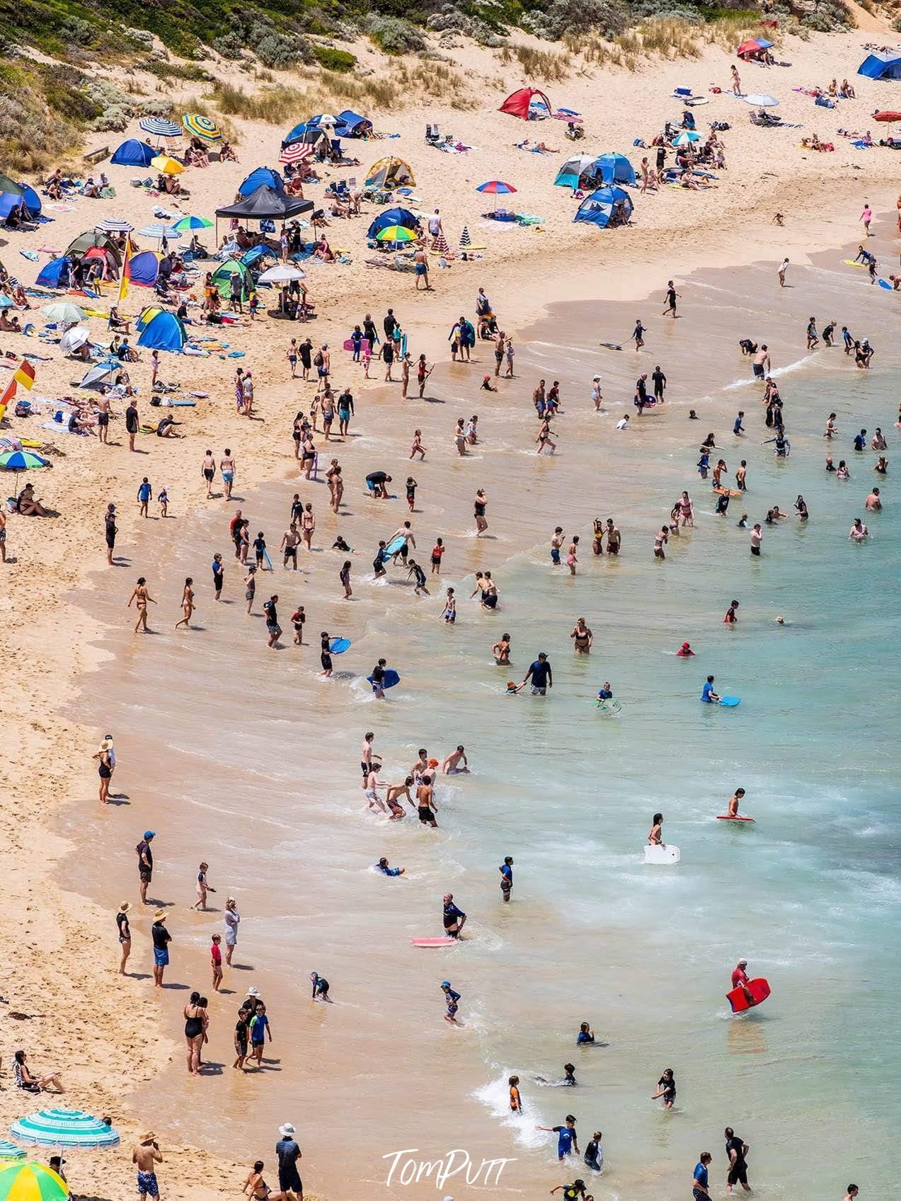 Drone view of a beach with a lot of people enjoying, Sorrento Back Beach Swimmers - Mornington Peninsula VIC