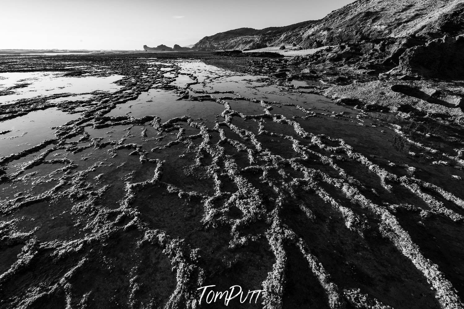 Sorrento Low Tide, Mornington Peninsula