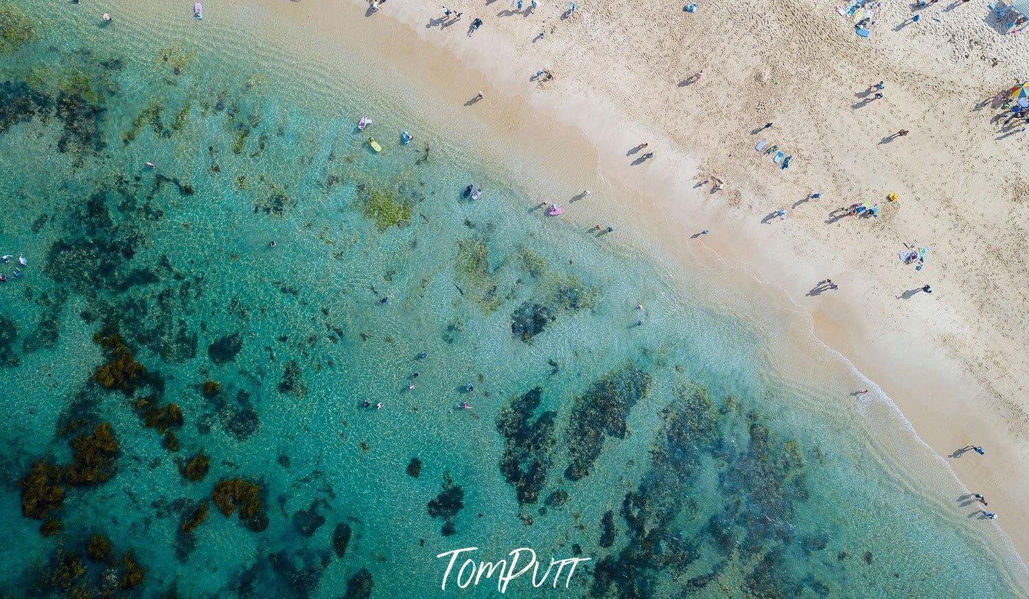 Aerial view of a beach with sea green water and a lot of people enjoying, Sorrento Shadows - Mornington Peninsula VIC