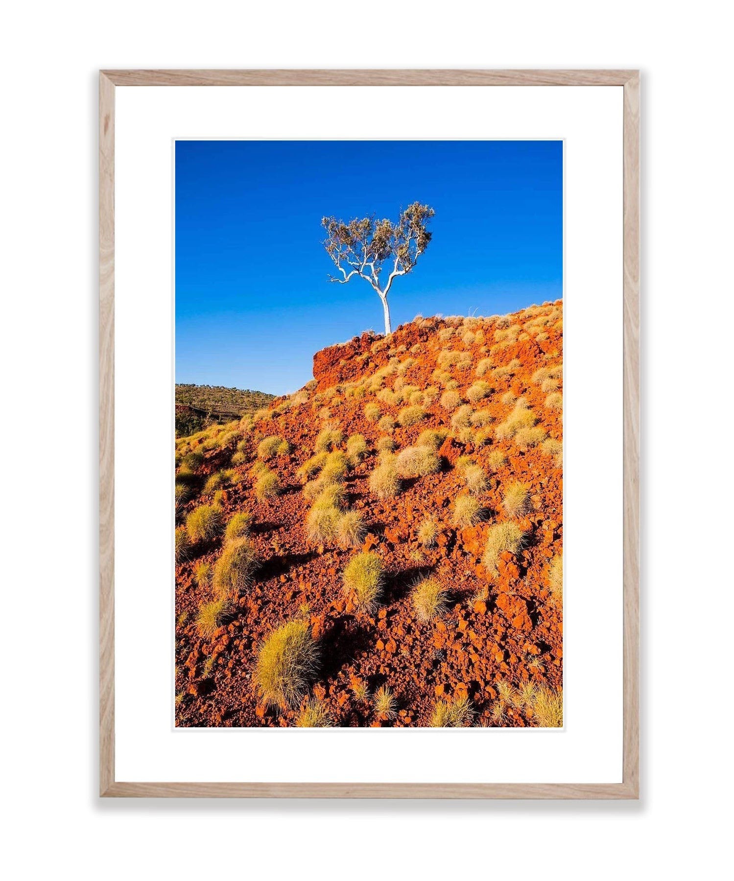 Spinifex - Karijini, The Pilbara