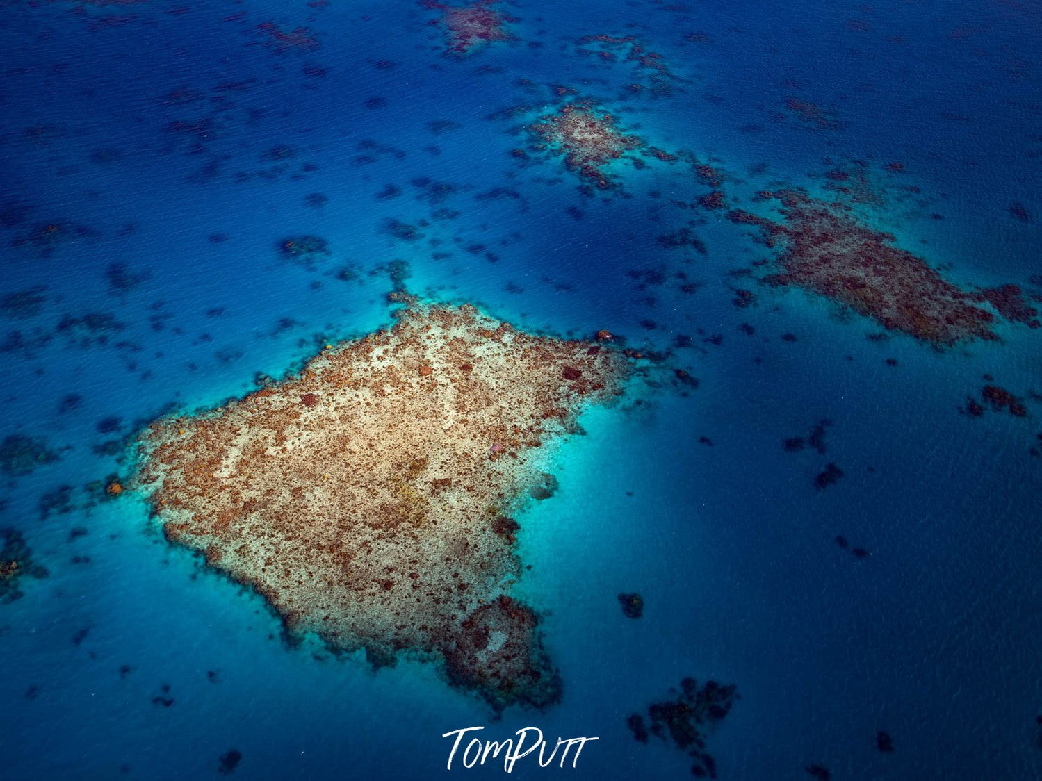 Spotlight on the reef, Far North Queensland