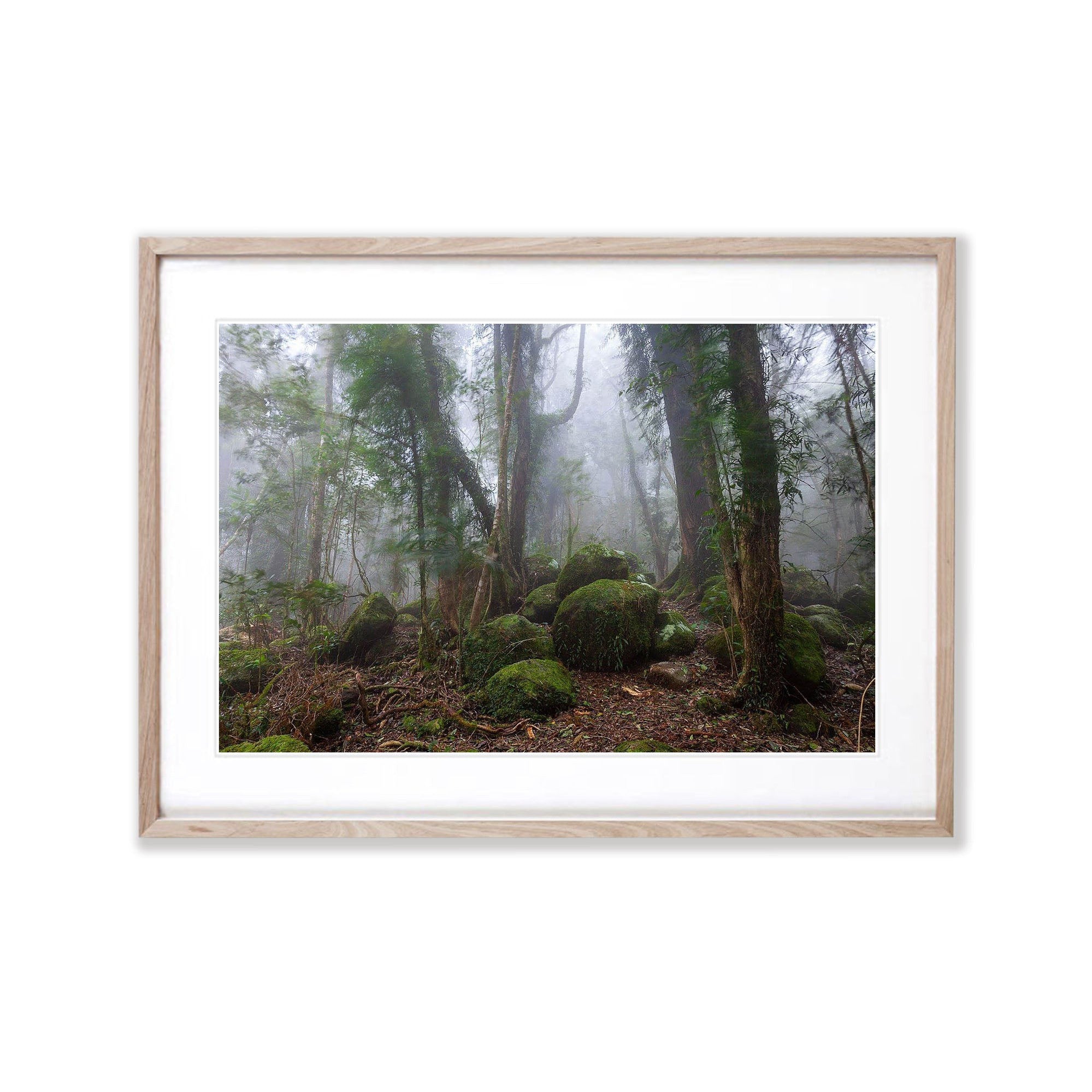 Springbrook Boulders - QLD