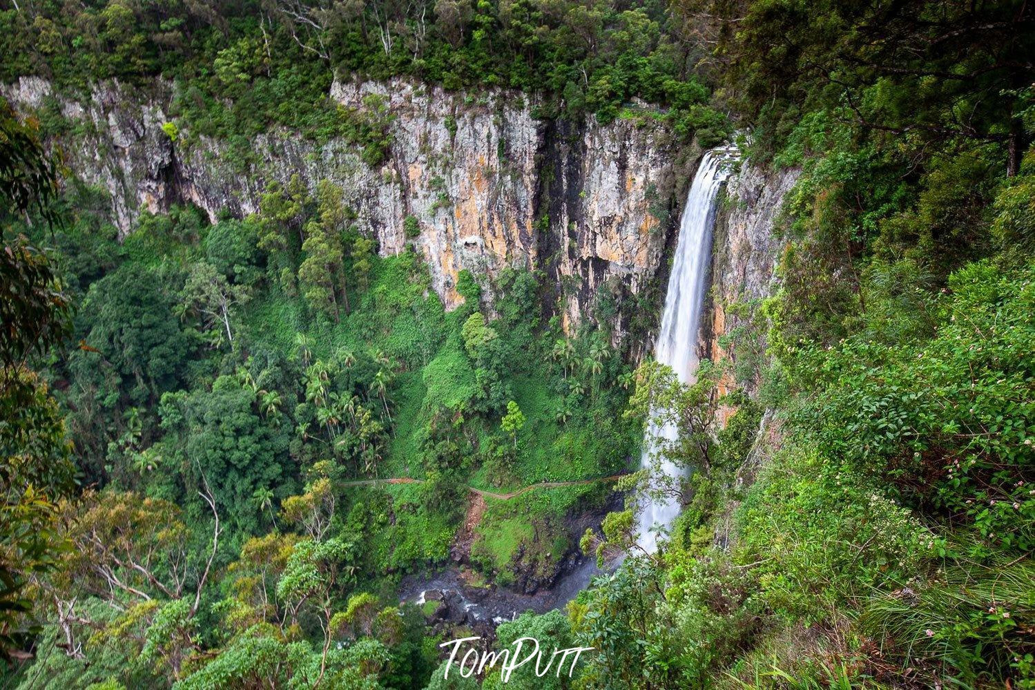 Aerial view of large green mountain wall covered with grass, plants, and bushes, Springbrook Falls - QLD