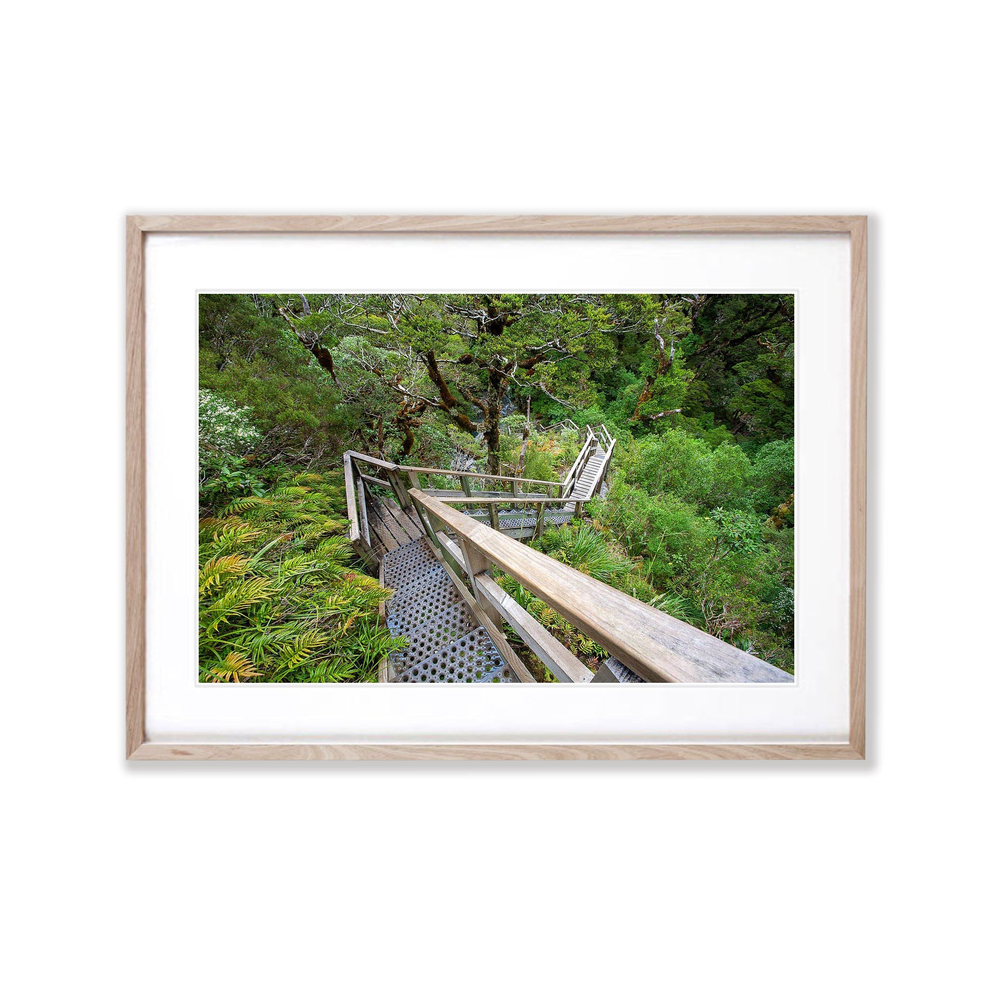 Staircase, Milford Track - New Zealand