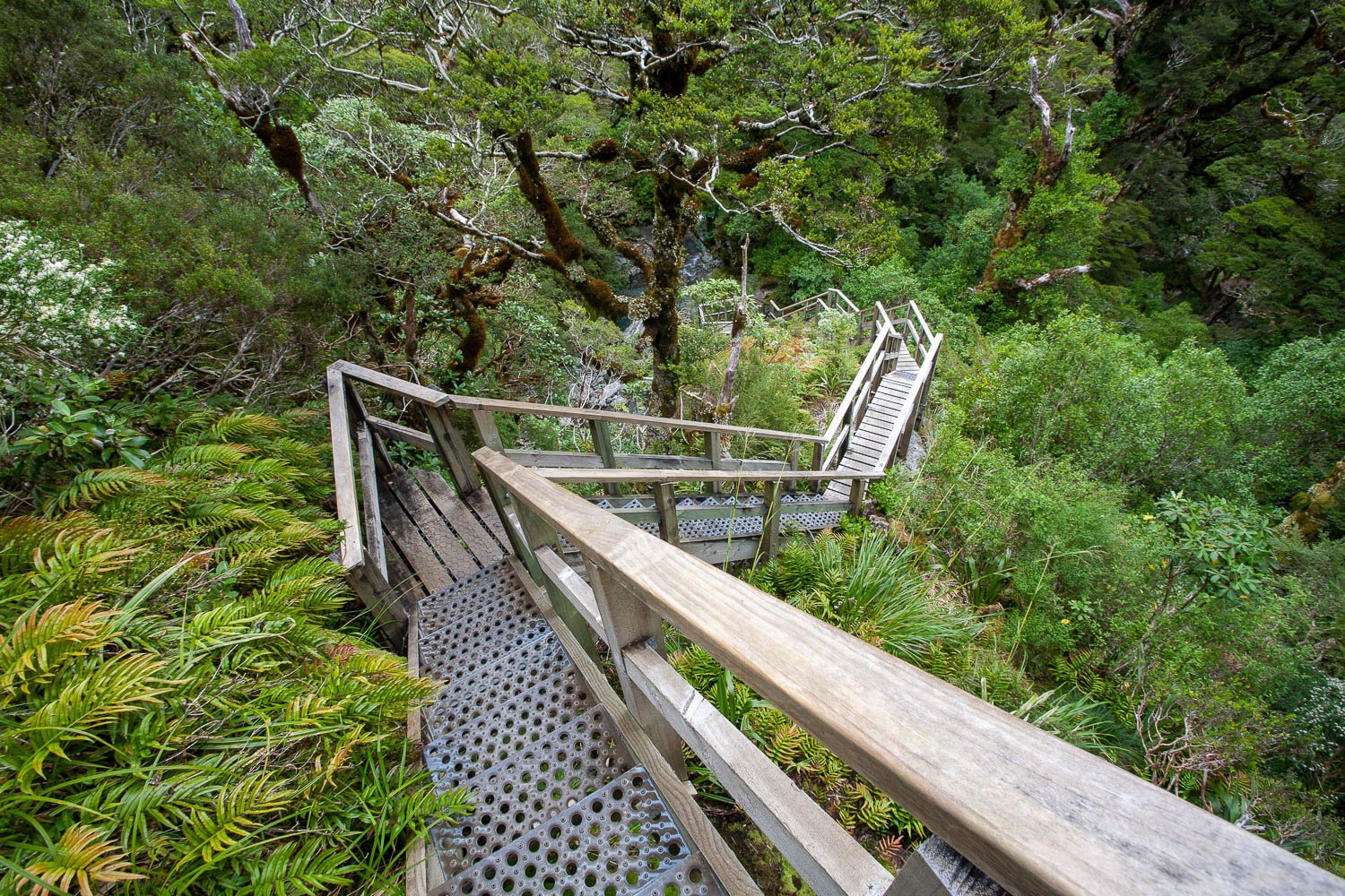 Well-constructed staircase on a high green hill, Staircase, Milford Track - New Zealand