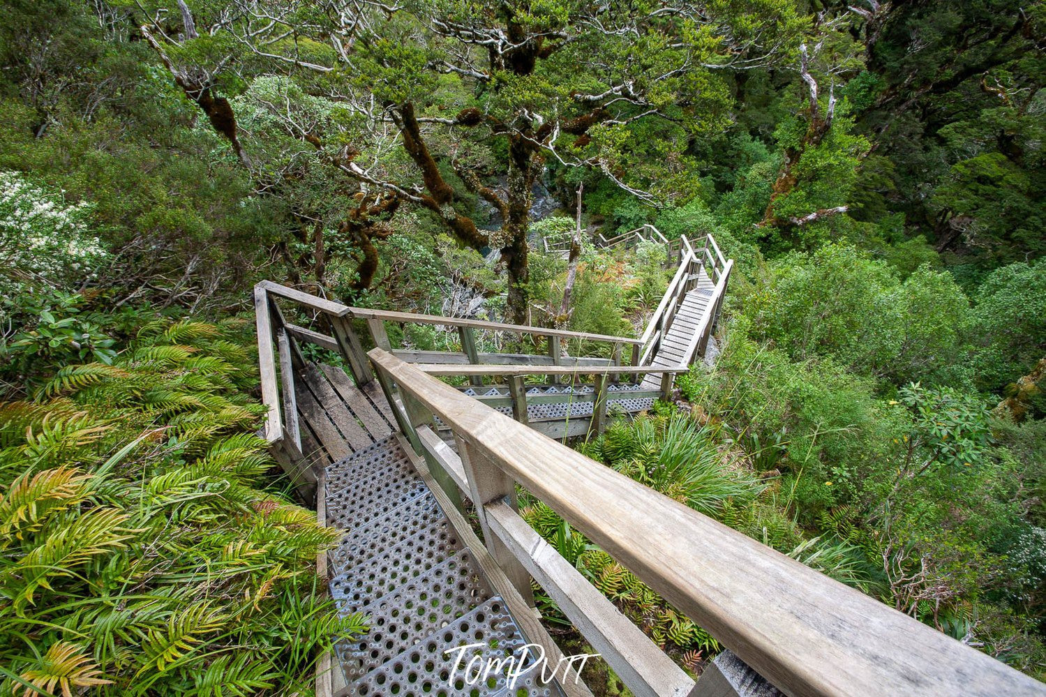 Well-constructed staircase on a high green hill, Staircase, Milford Track - New Zealand