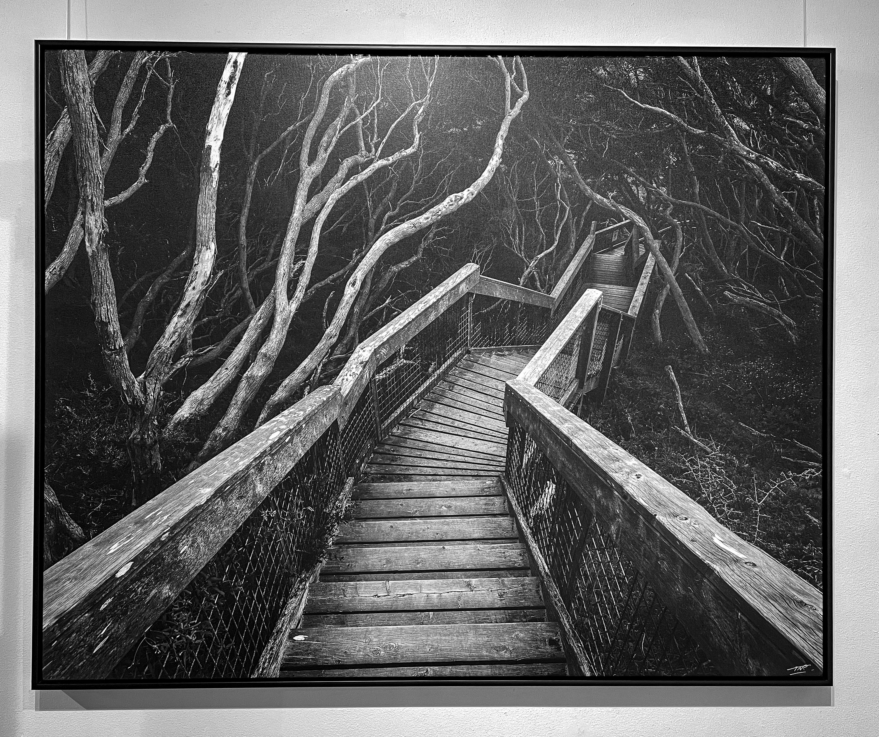 ARTWORK INSTOCK - Staircase, Sorrento - 150 x 120cms Canvas Black Framed Print