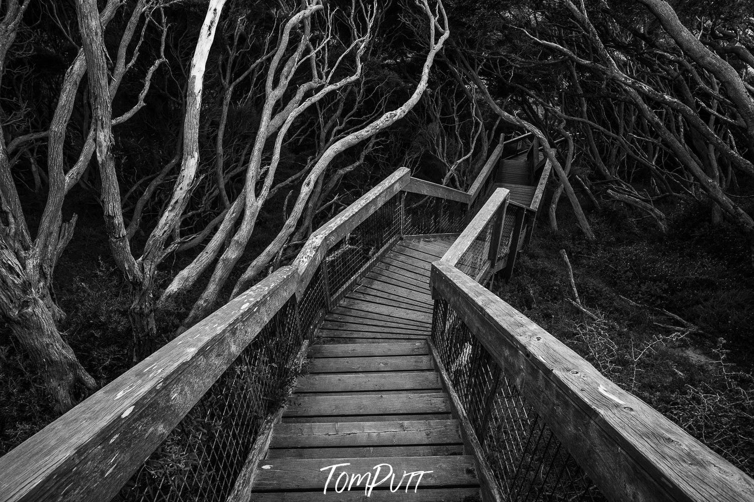 Staircase, Sorrento Bushland